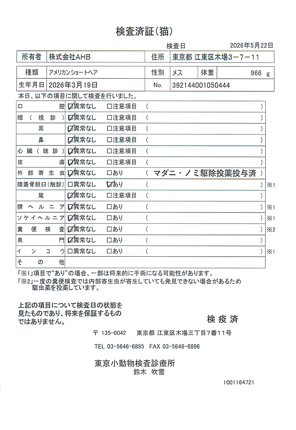アメリカンショートヘア