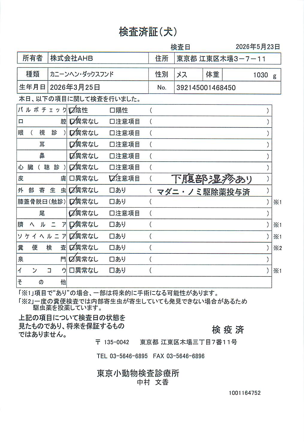 カニーンヘン・ダックスフンド