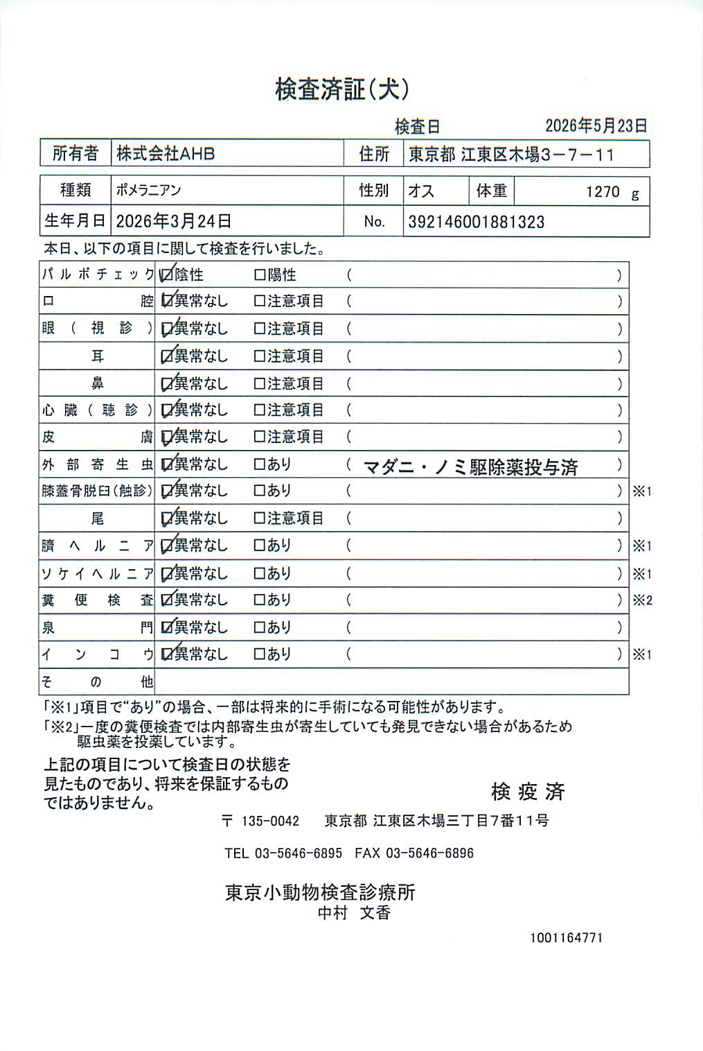 ポメラニアン