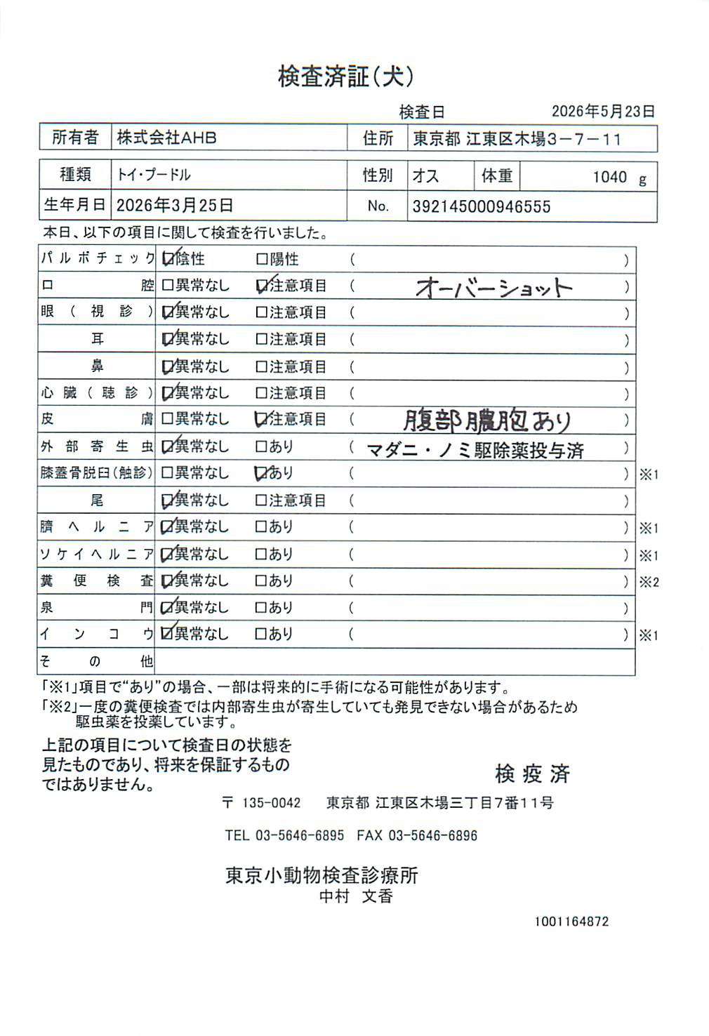 トイ・プードル