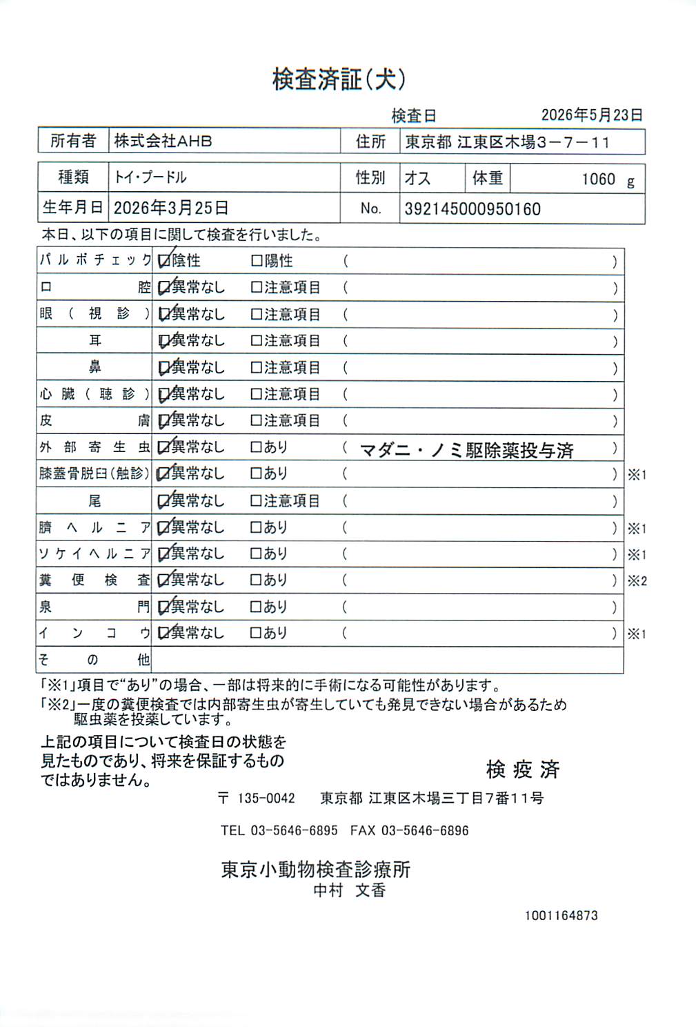 トイ・プードル