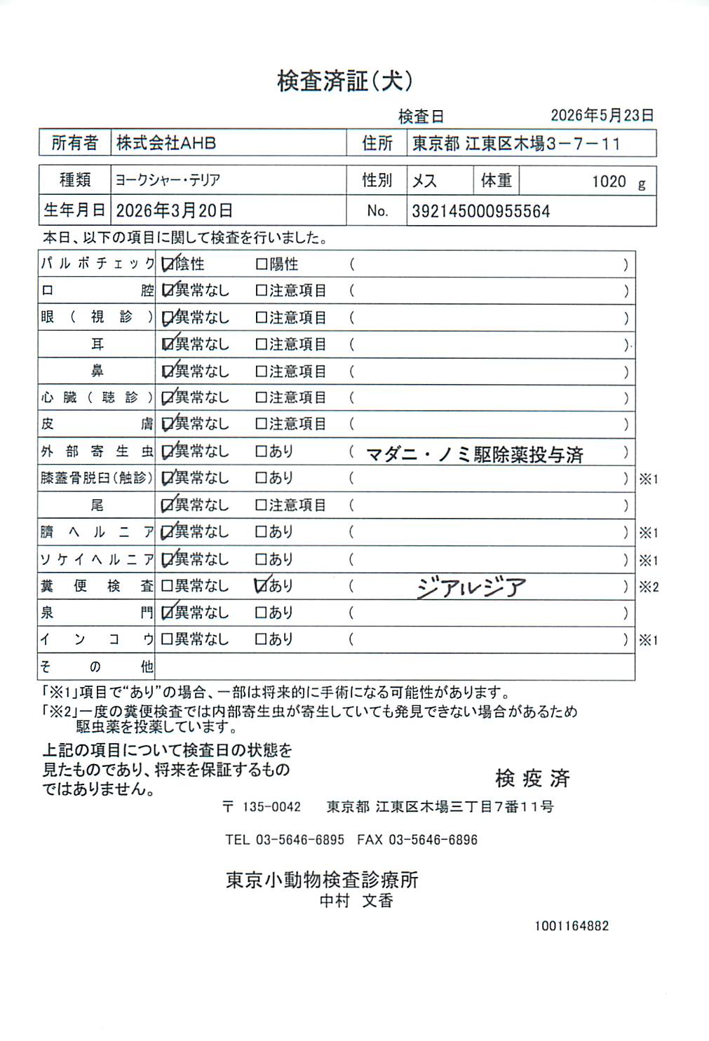 ヨークシャー・テリア