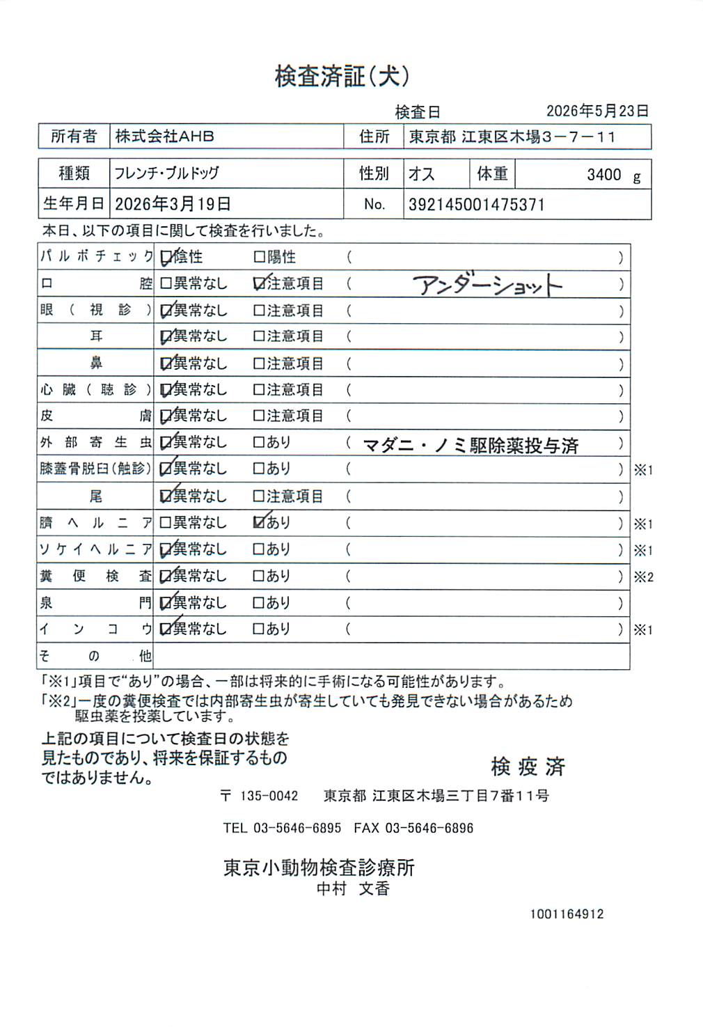 フレンチ・ブルドッグ