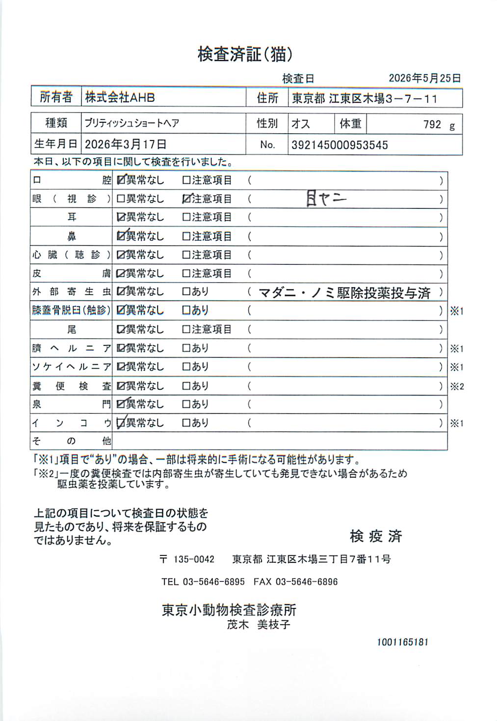 ブリティッシュショートヘア