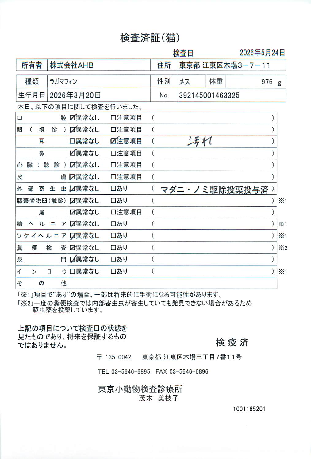 ラガマフィン