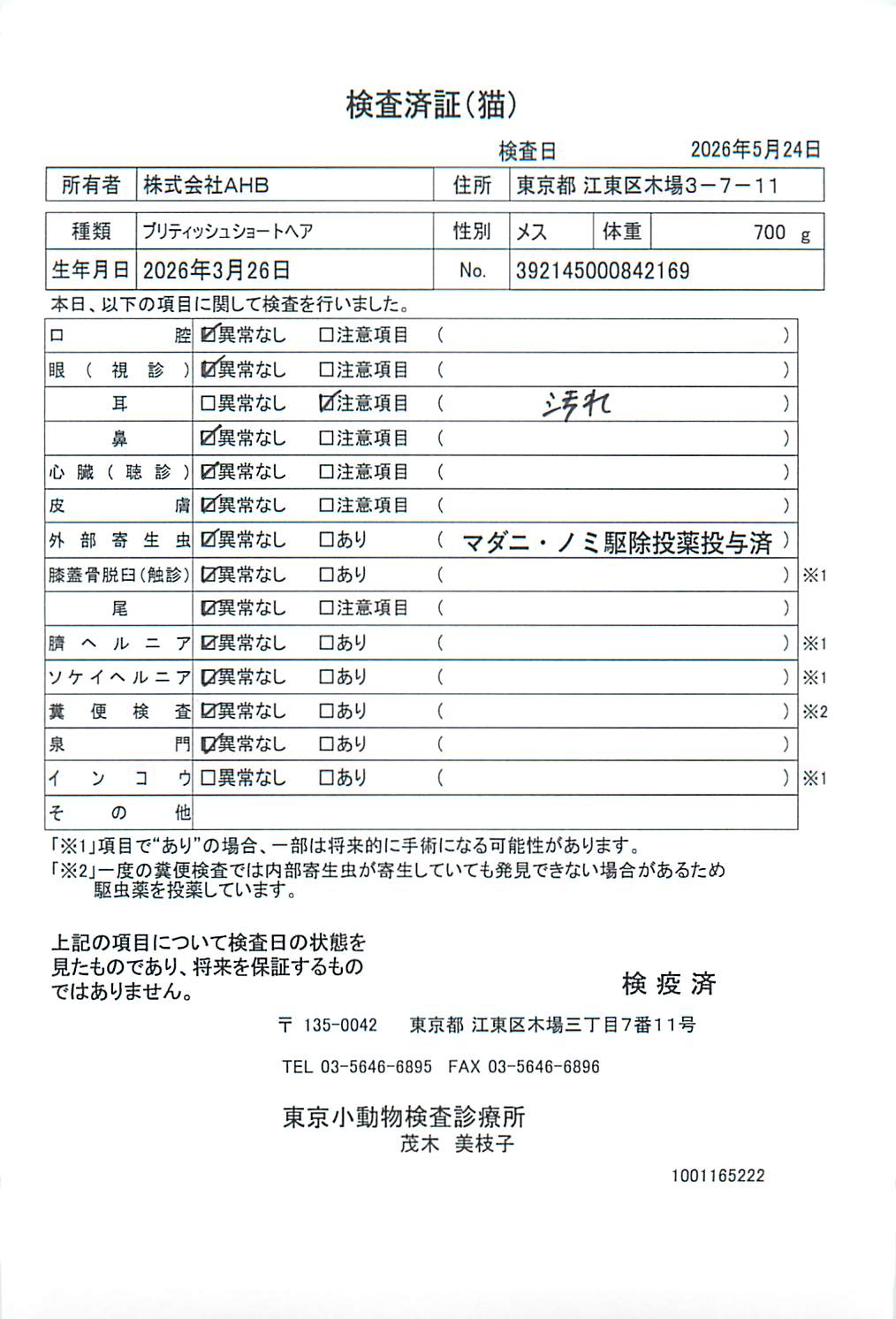 ブリティッシュショートヘア