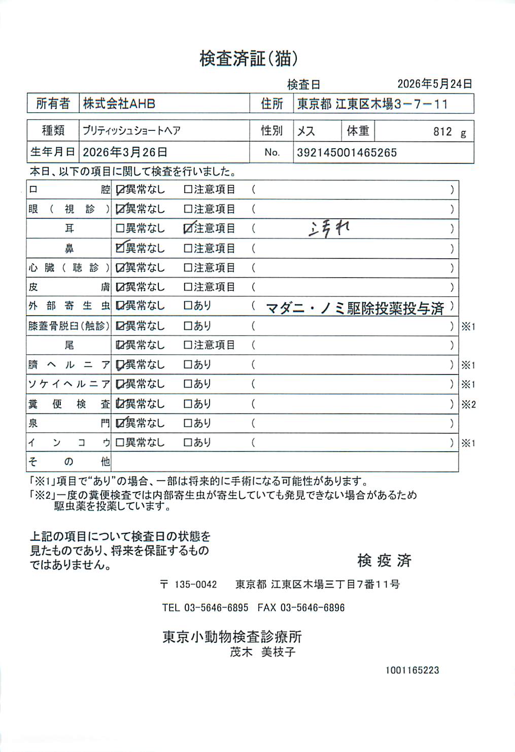 ブリティッシュショートヘア