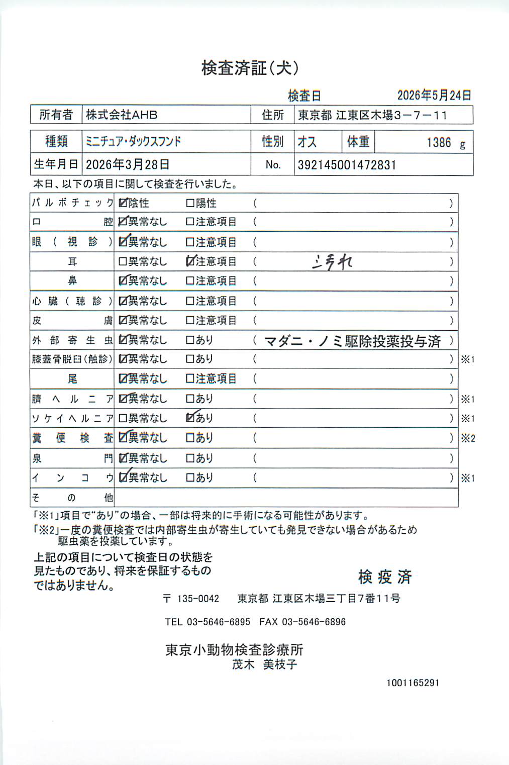 ミニチュア・ダックスフンド