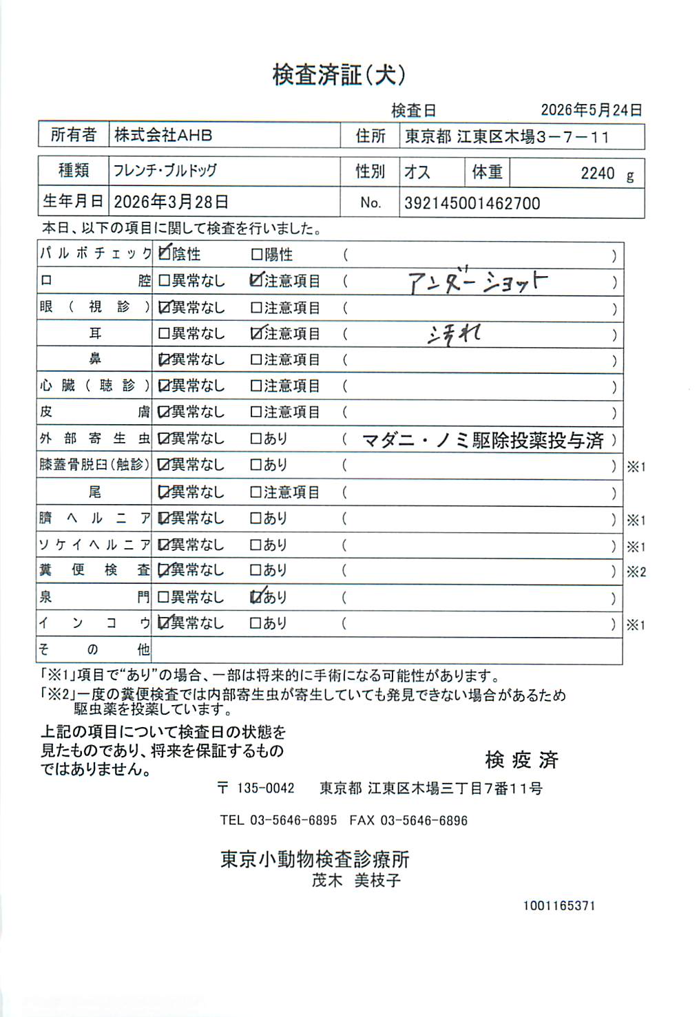 フレンチ・ブルドッグ