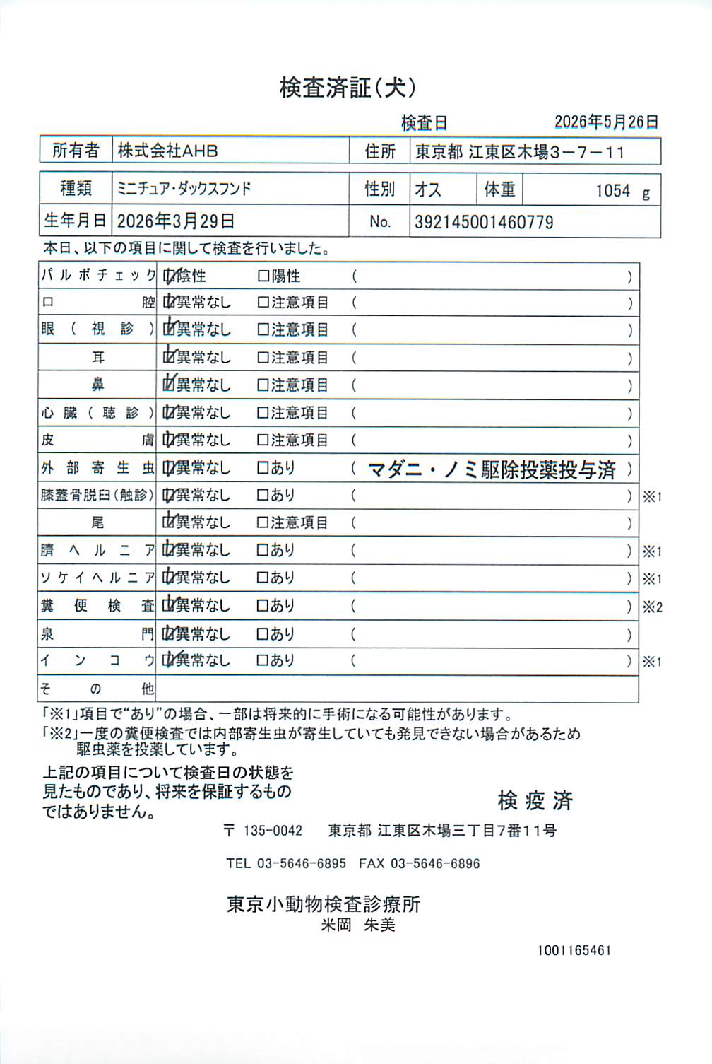 ミニチュア・ダックスフンド