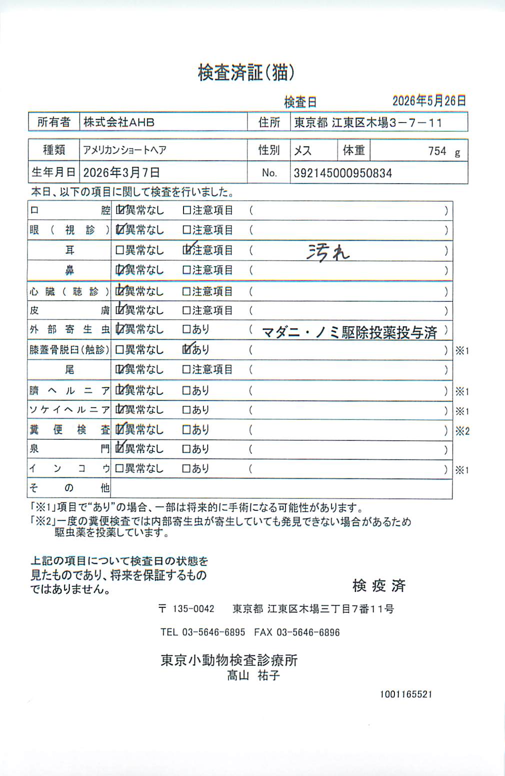 アメリカンショートヘア