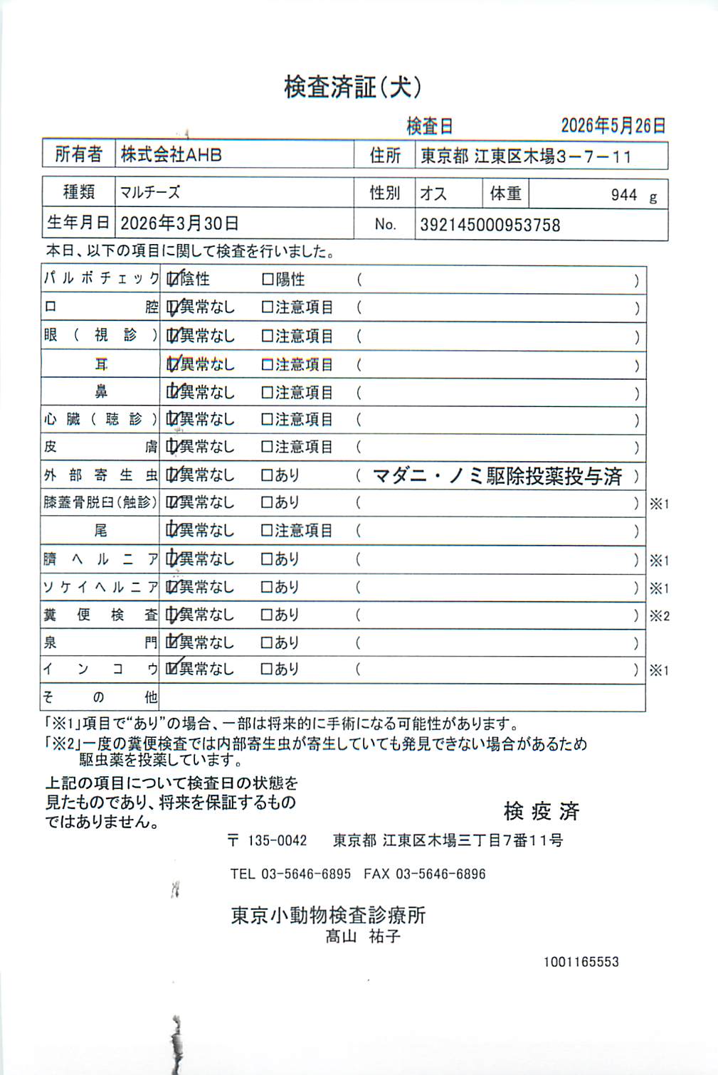 マルチーズ