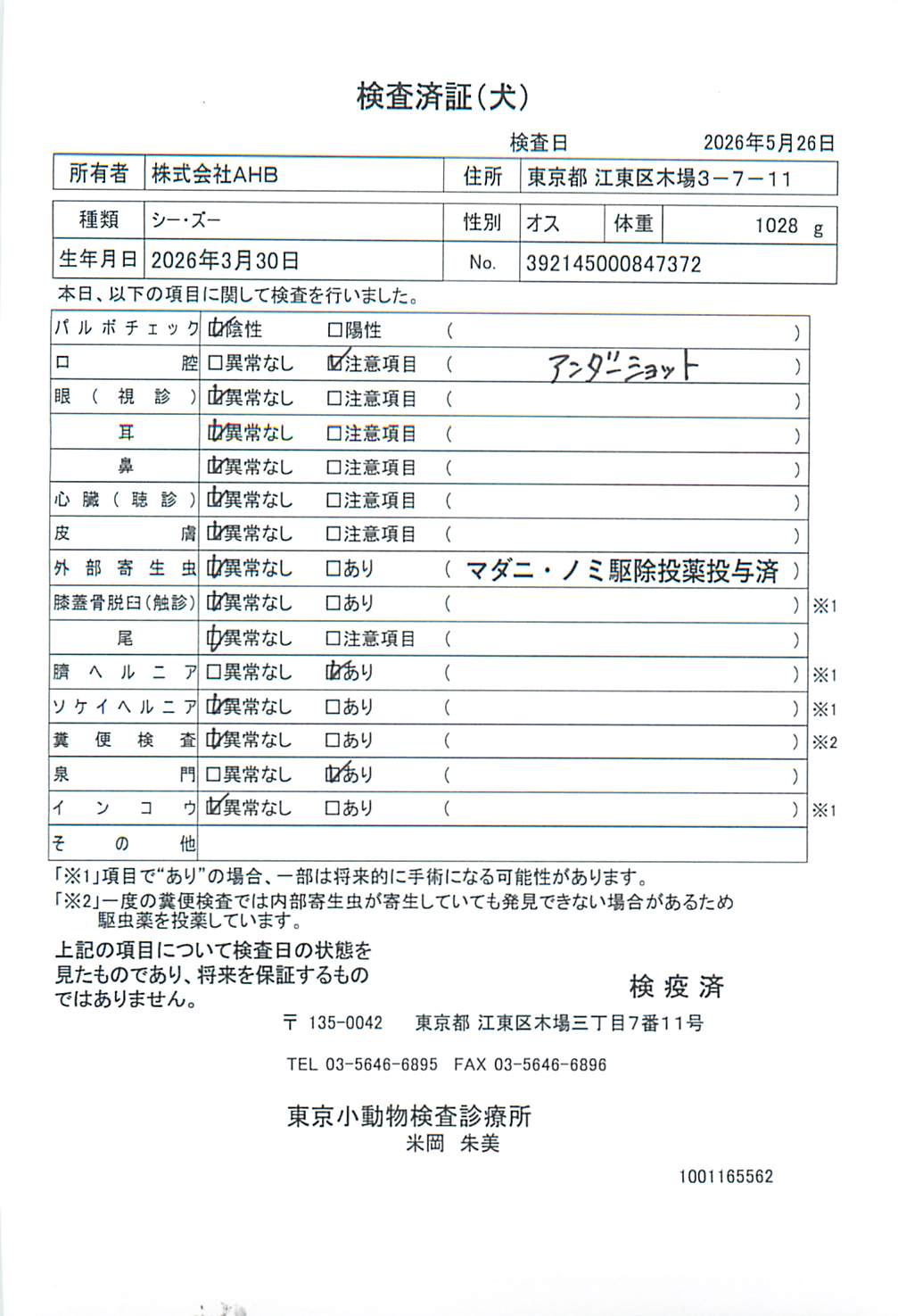 シー・ズー
