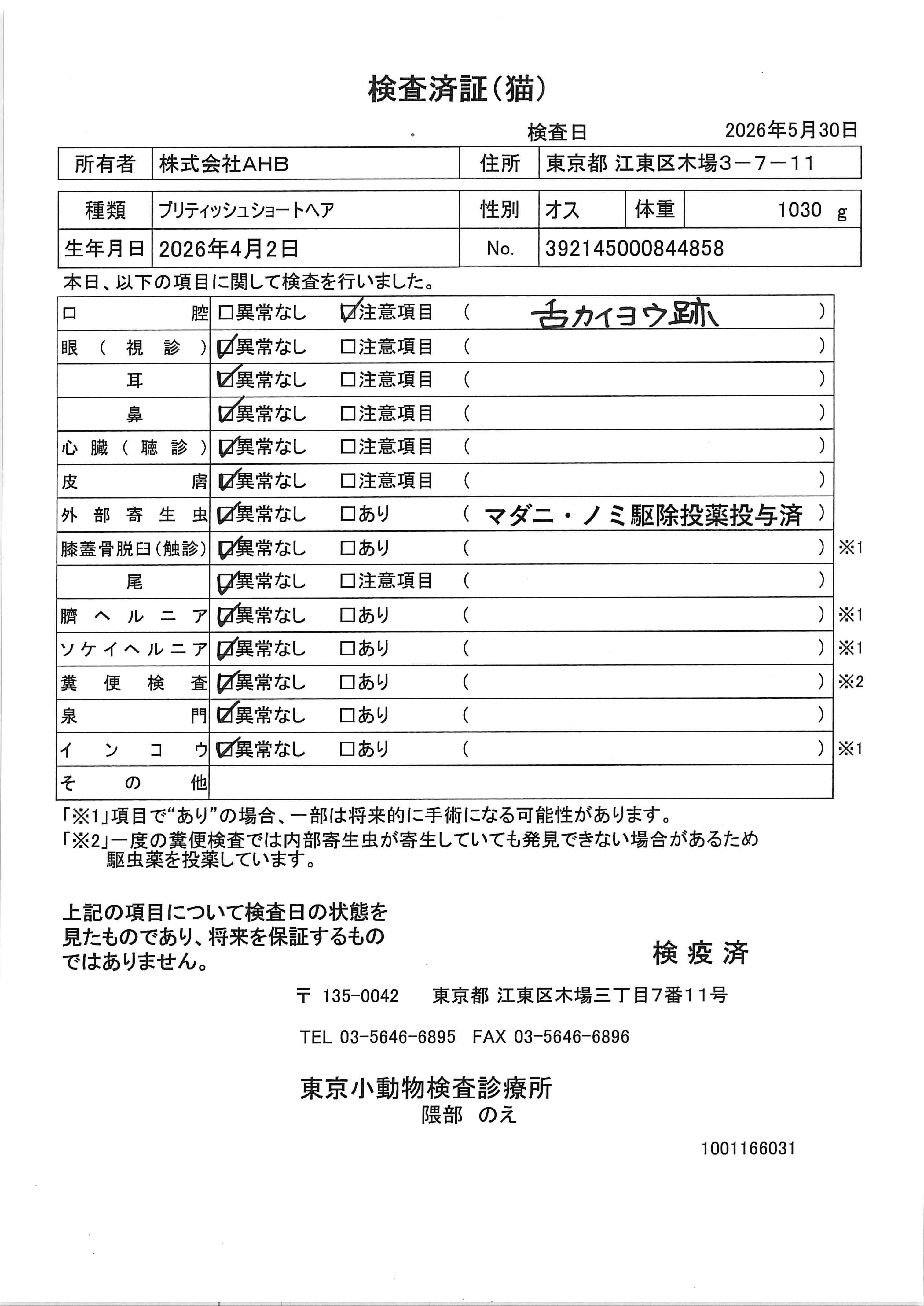 ブリティッシュショートヘア
