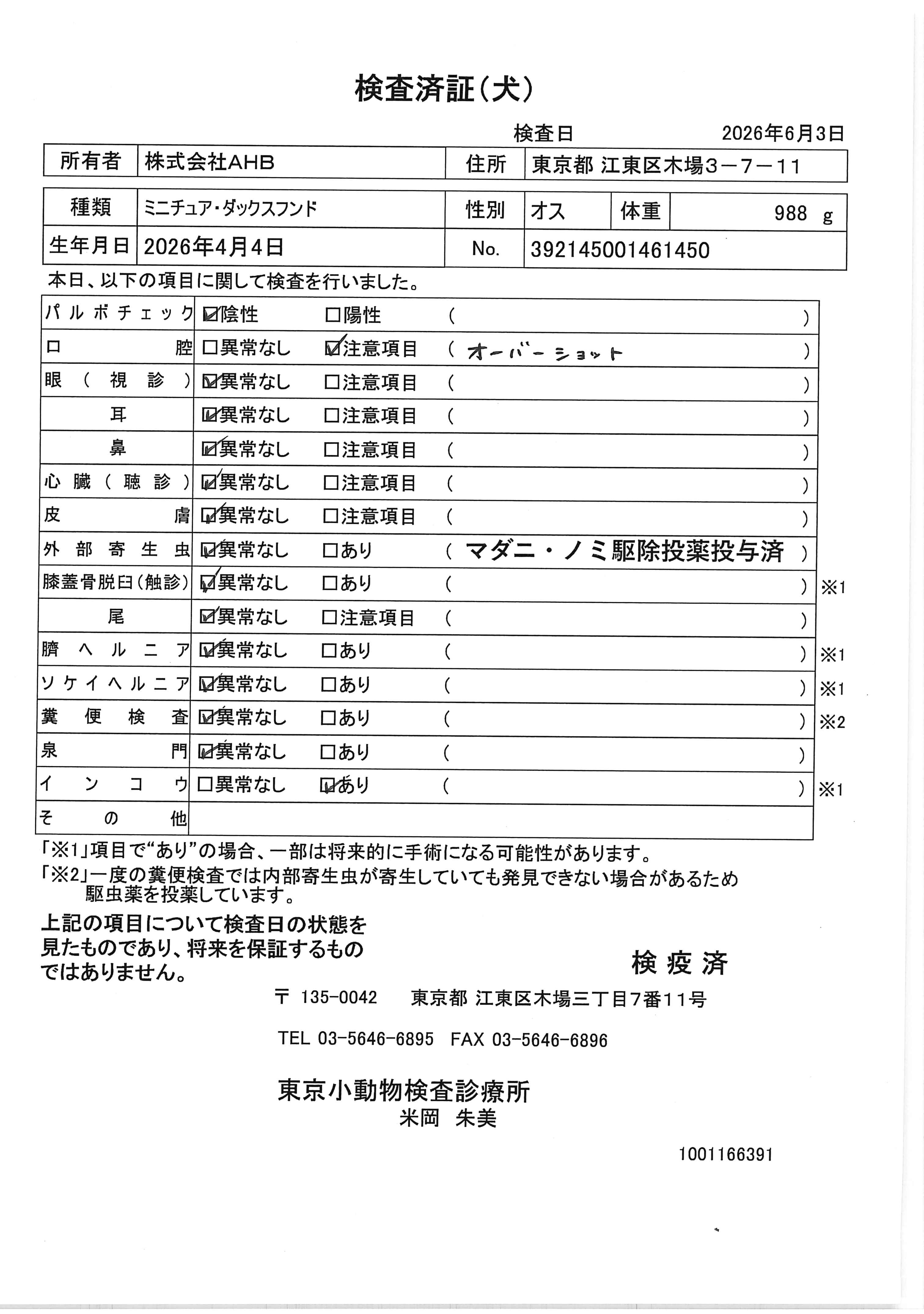 ミニチュア・ダックスフンド
