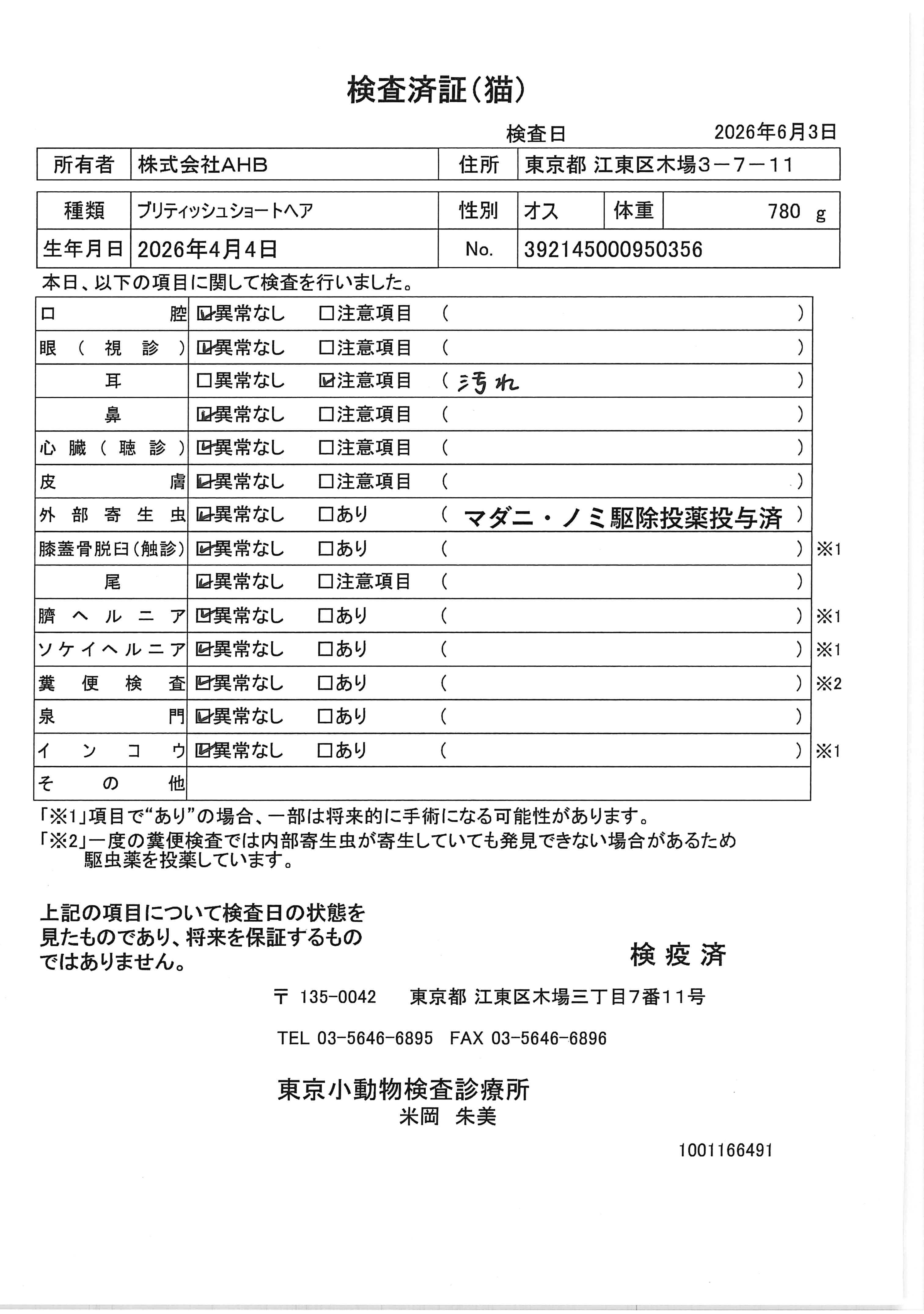 ブリティッシュショートヘア