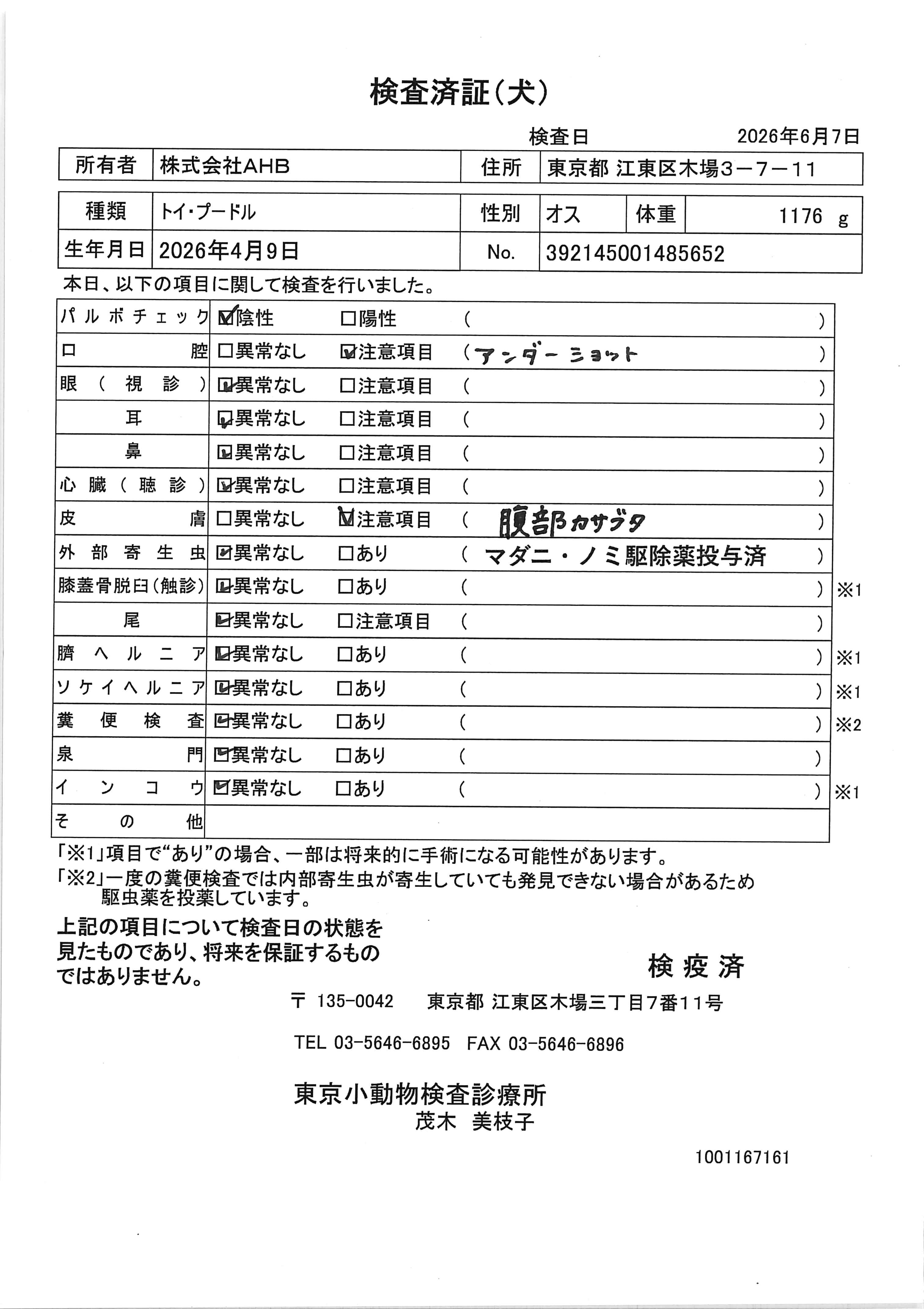 トイ・プードル