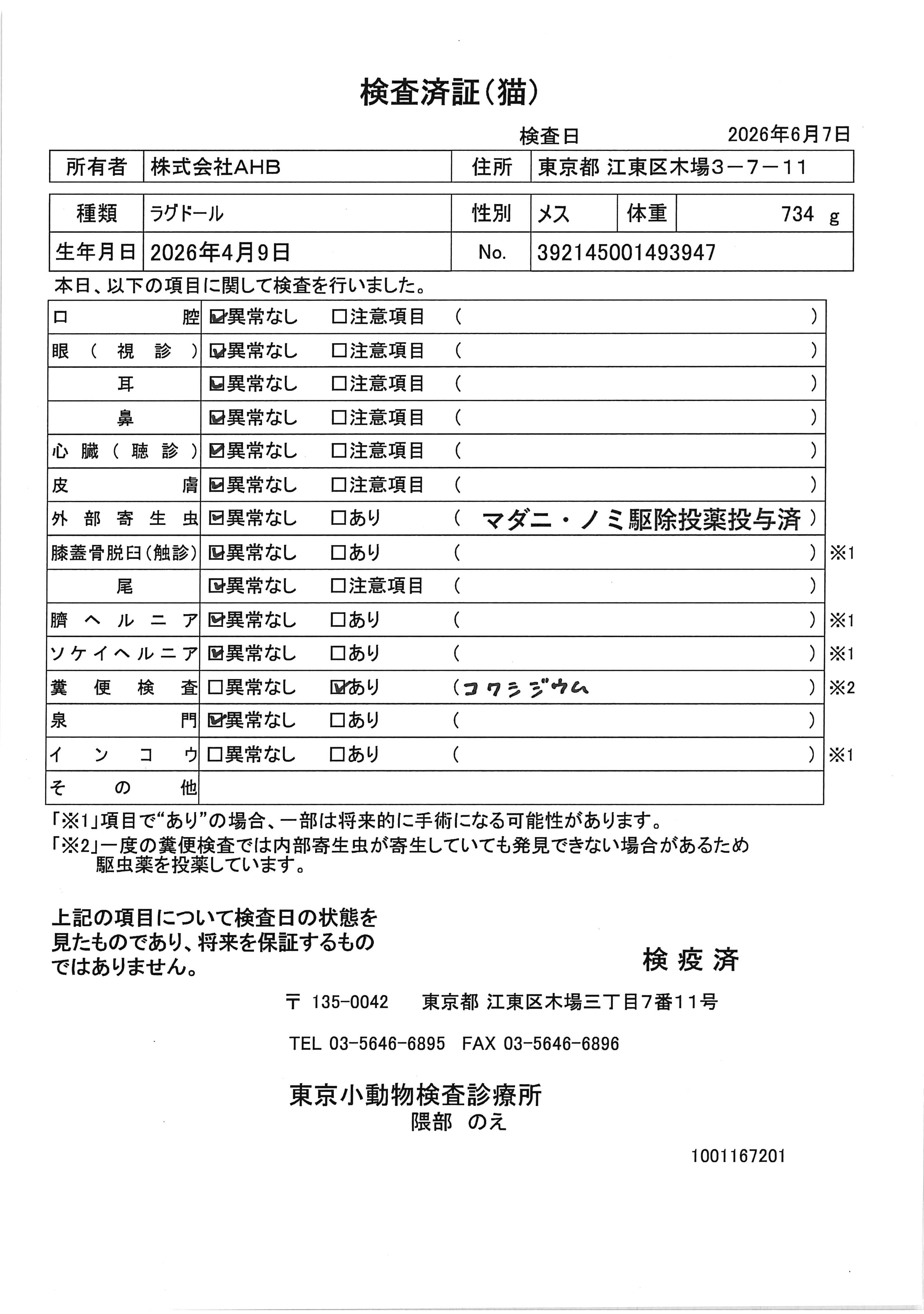 ラグドール