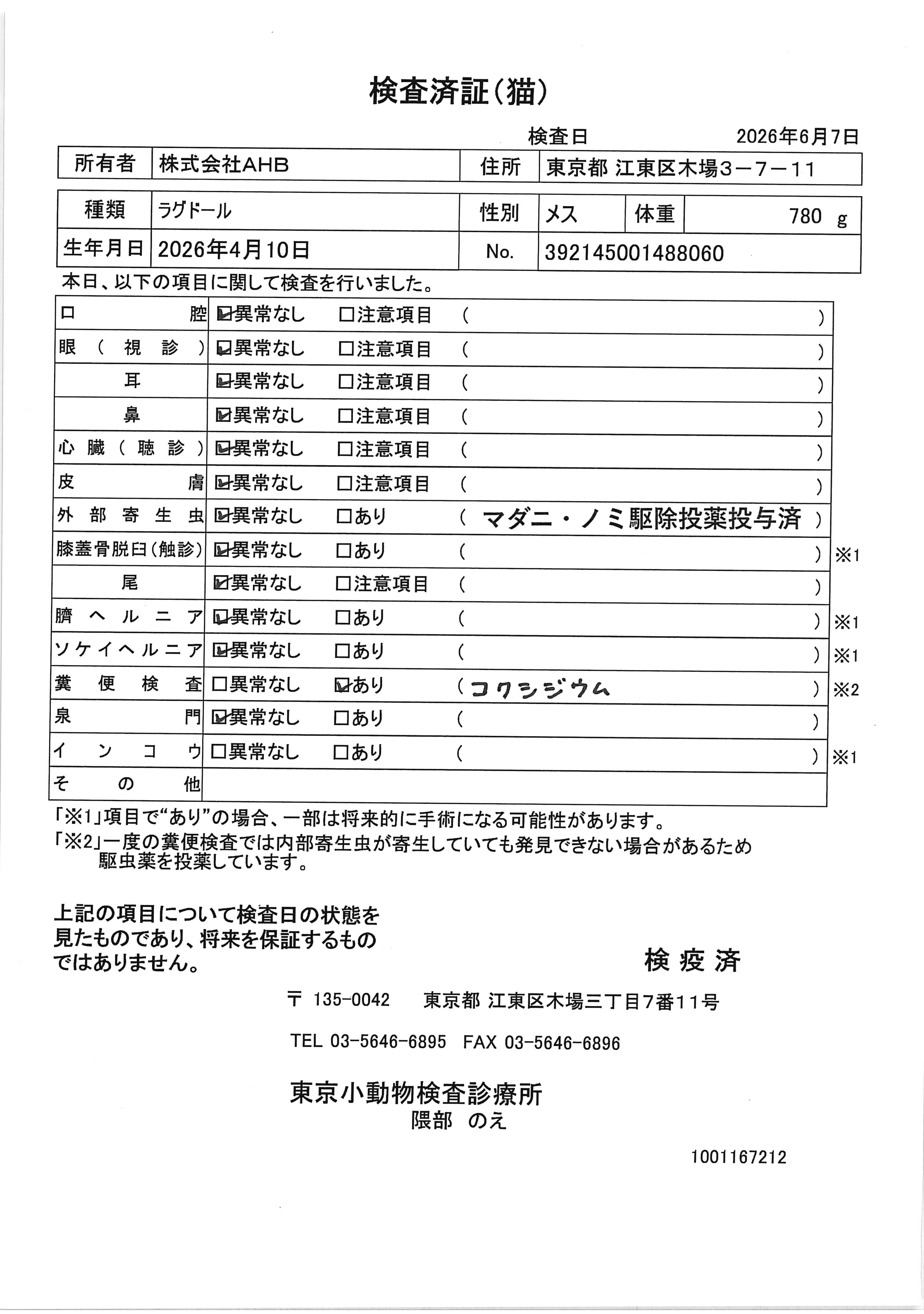 ラグドール