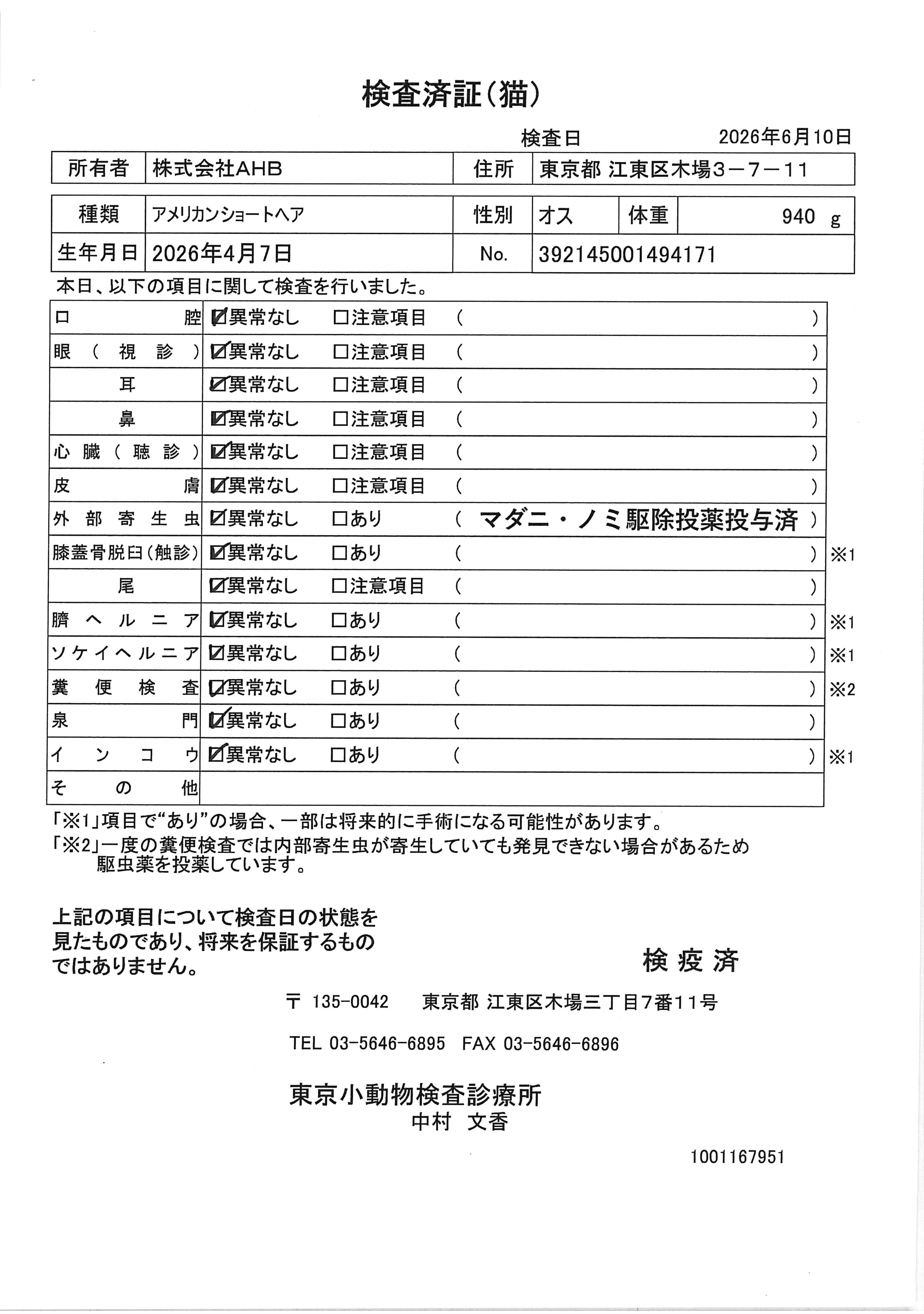 アメリカンショートヘア