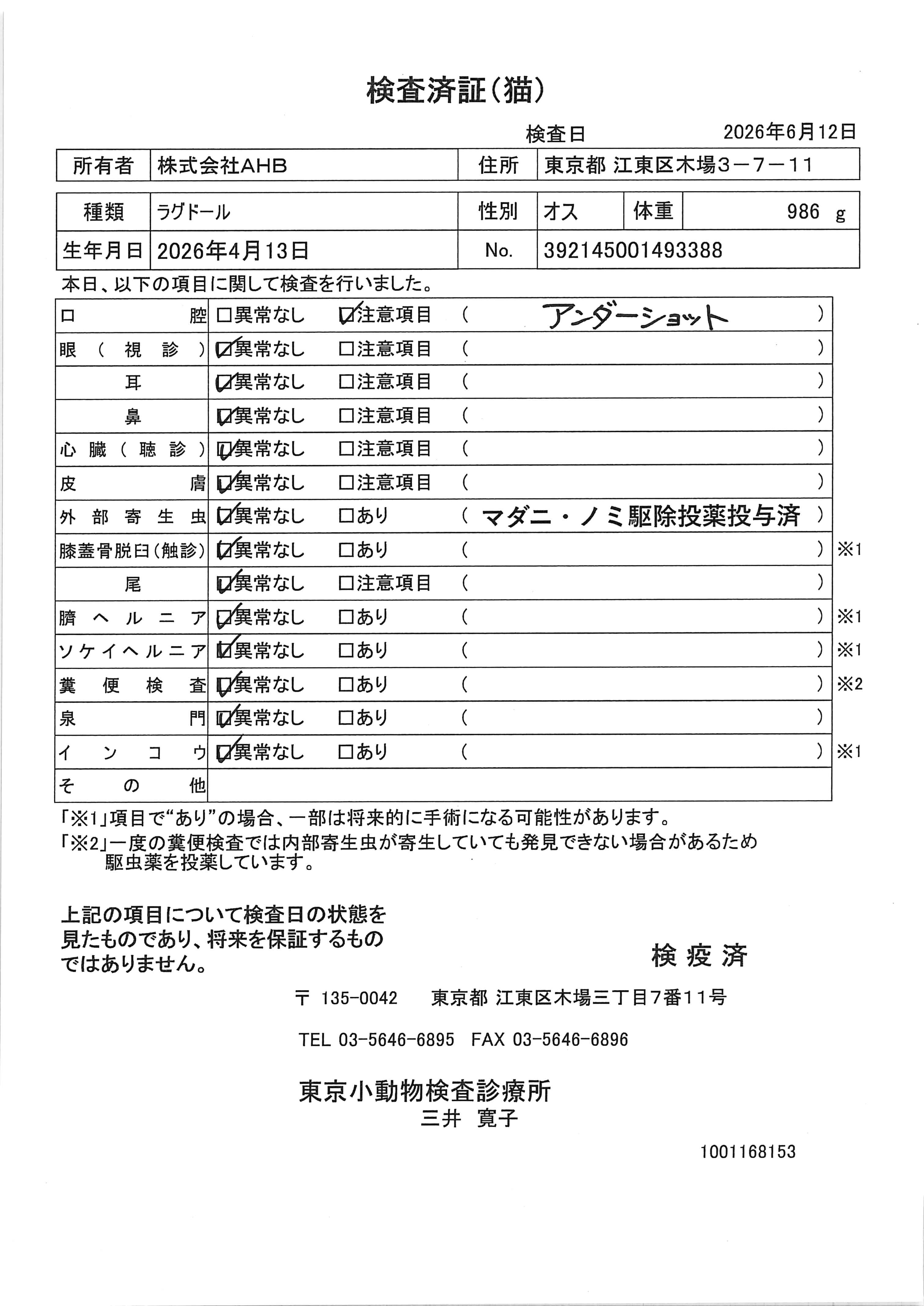 ラグドール
