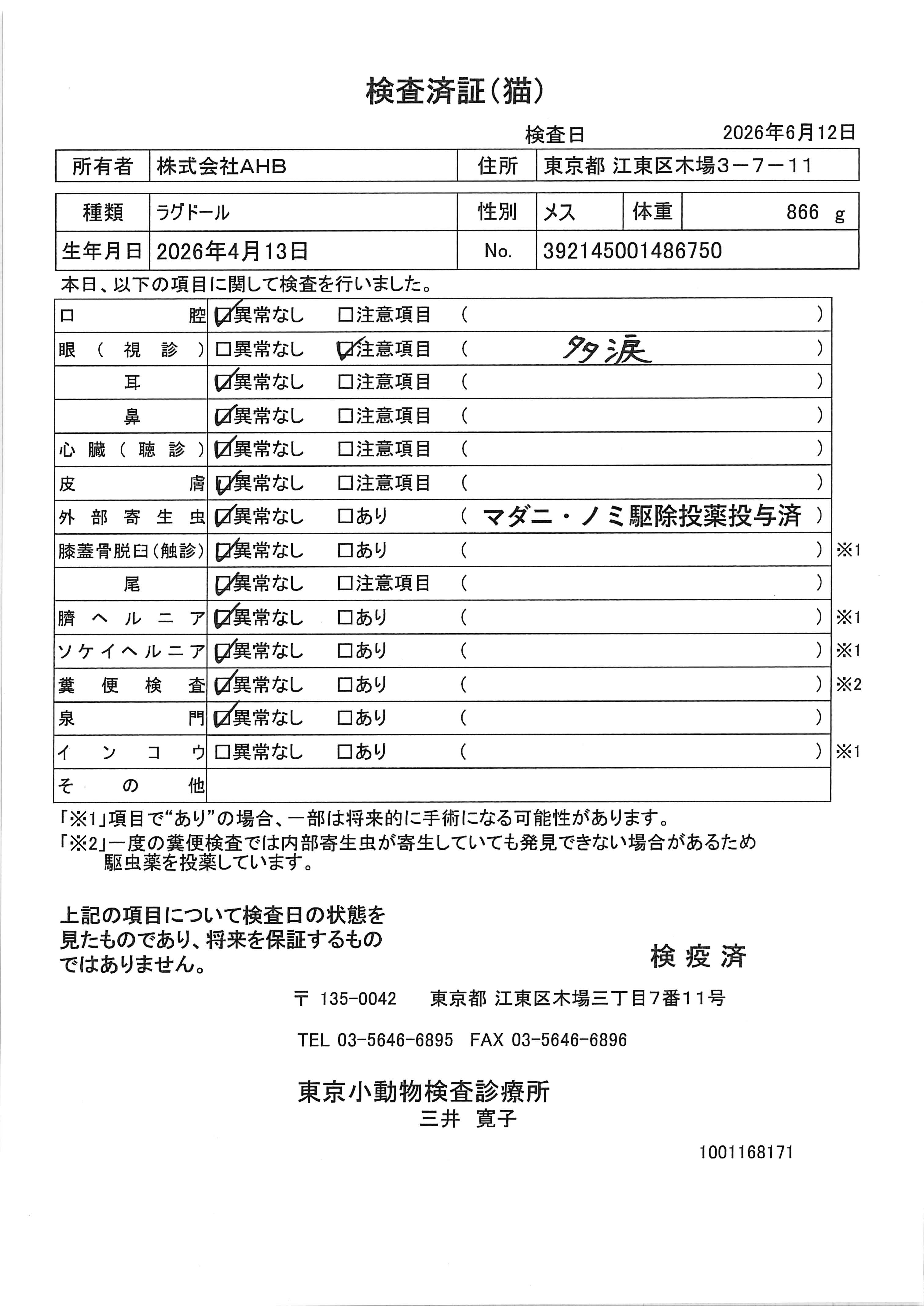 ラグドール