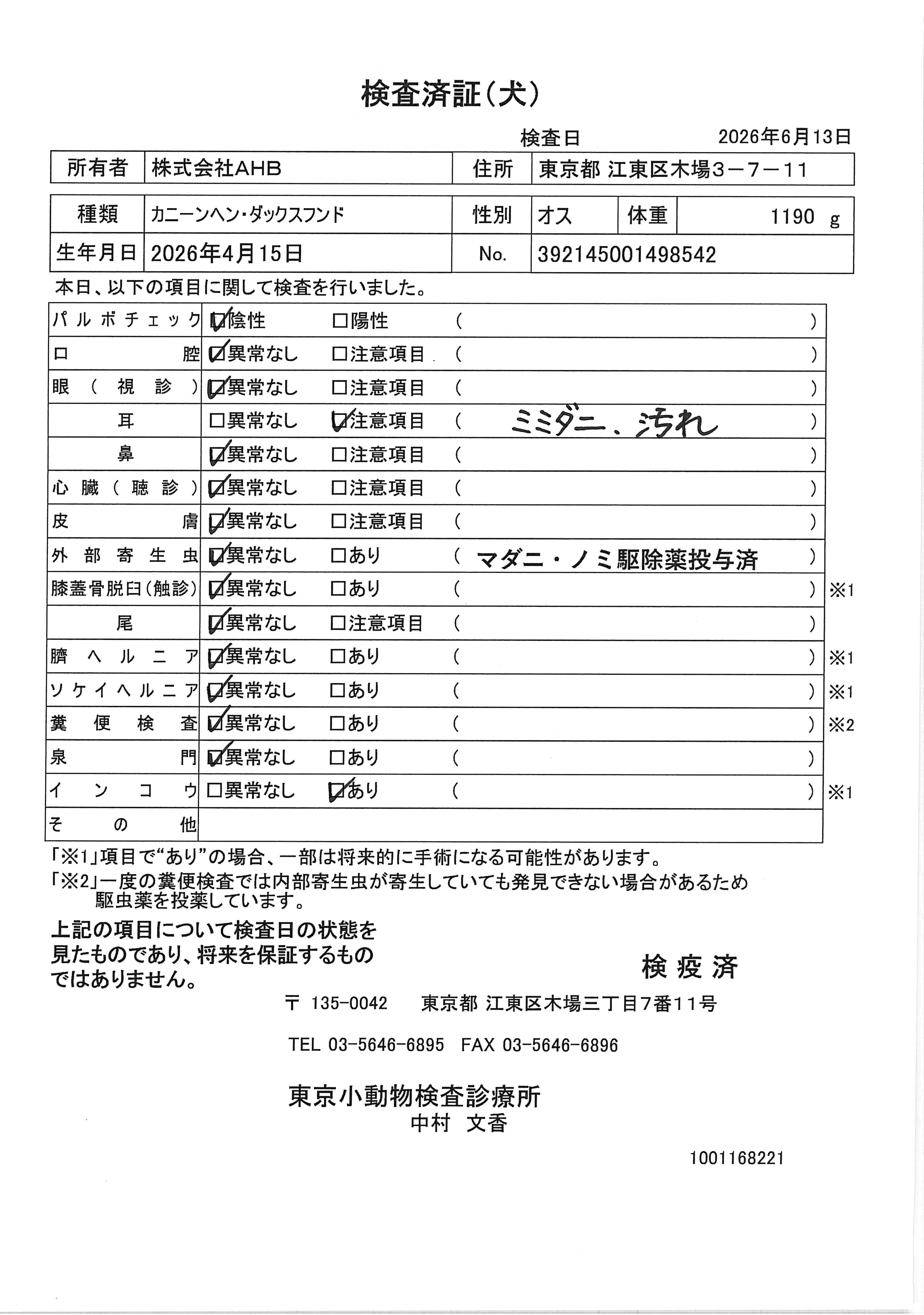 カニーンヘン・ダックスフンド