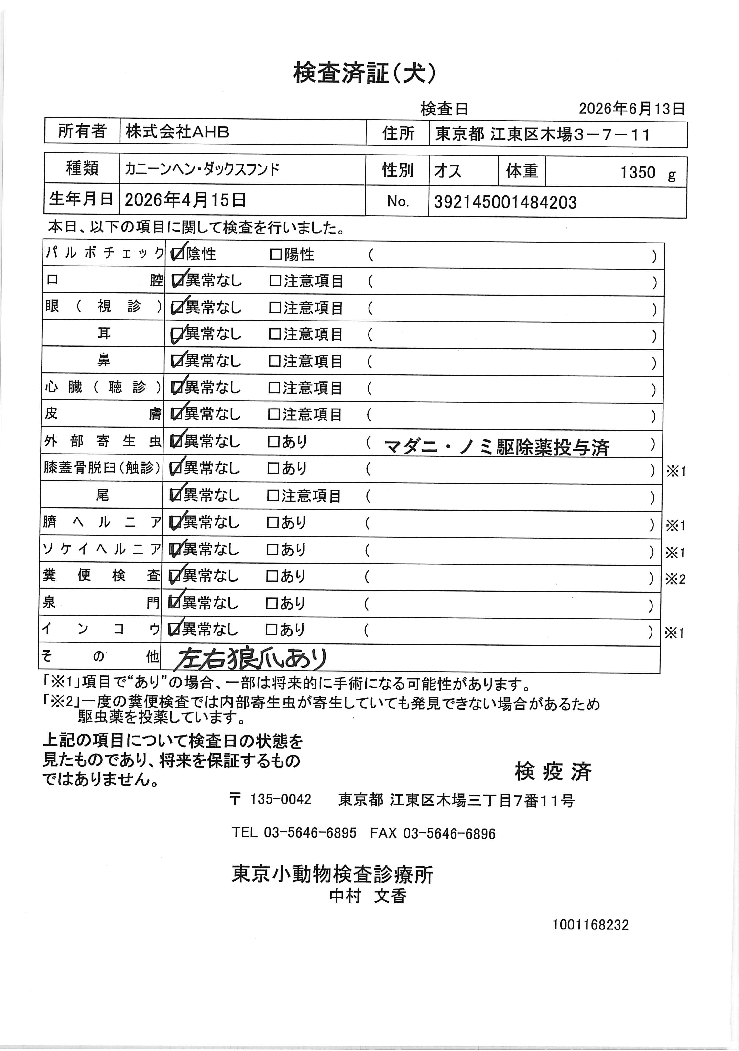 カニーンヘン・ダックスフンド