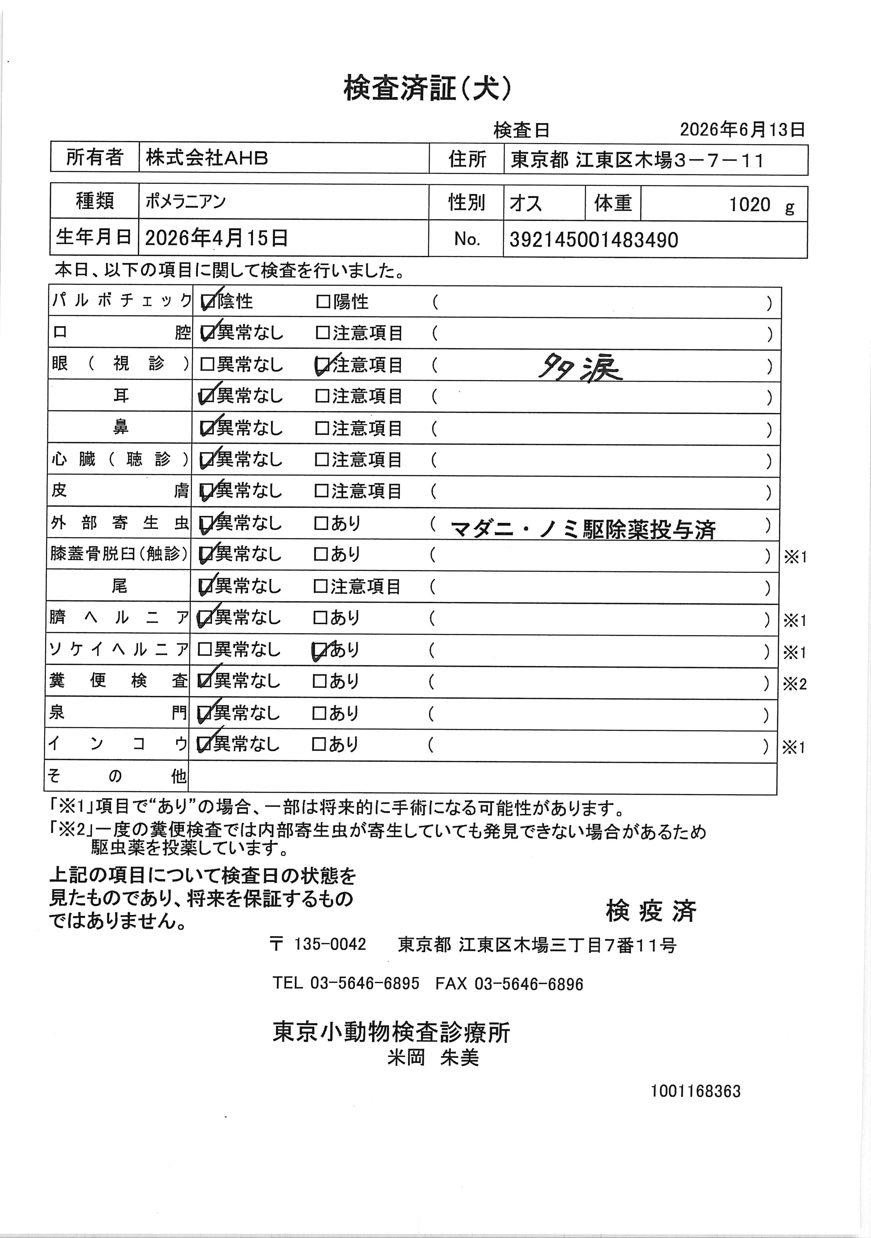 ポメラニアン