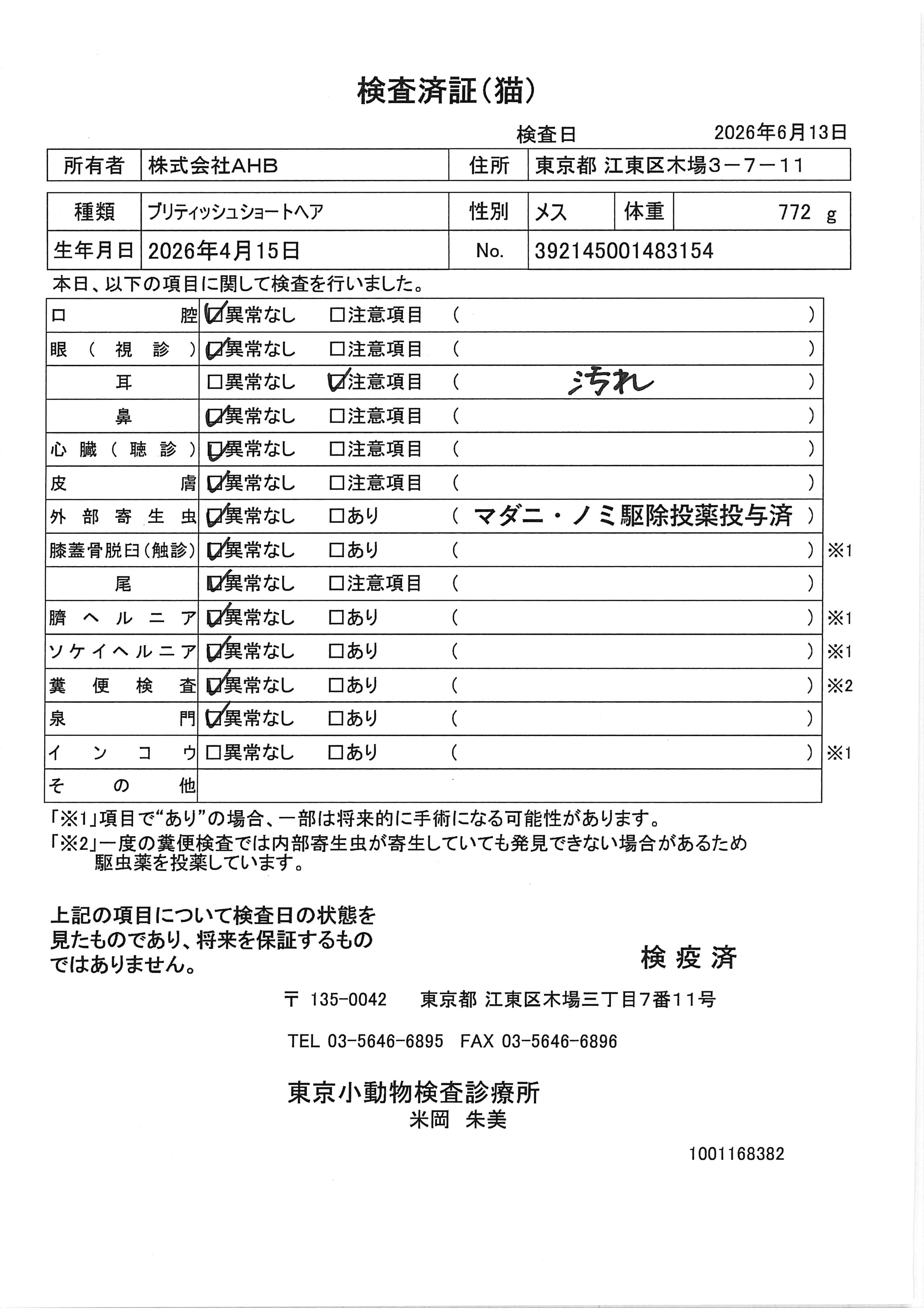 ブリティッシュショートヘア