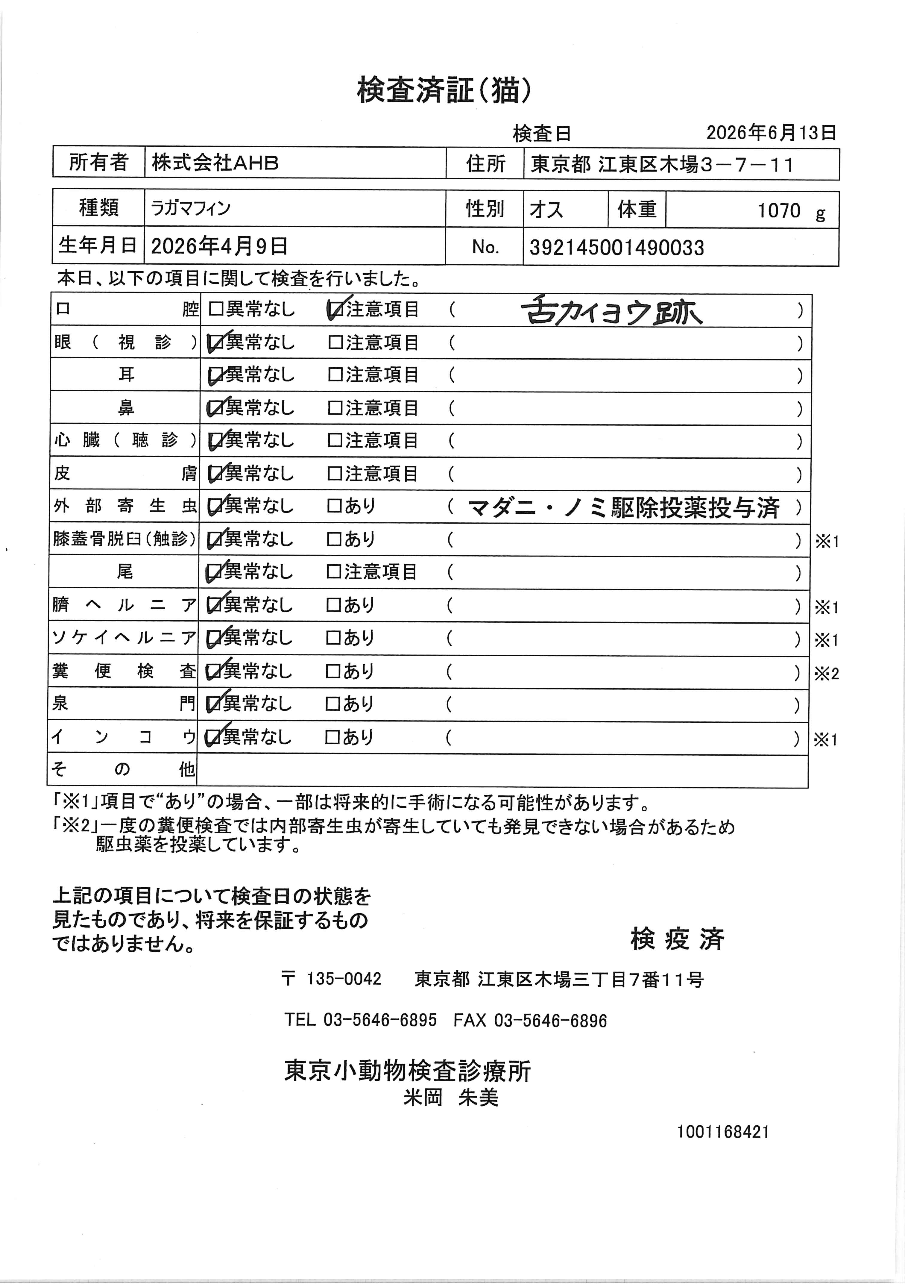ラガマフィン