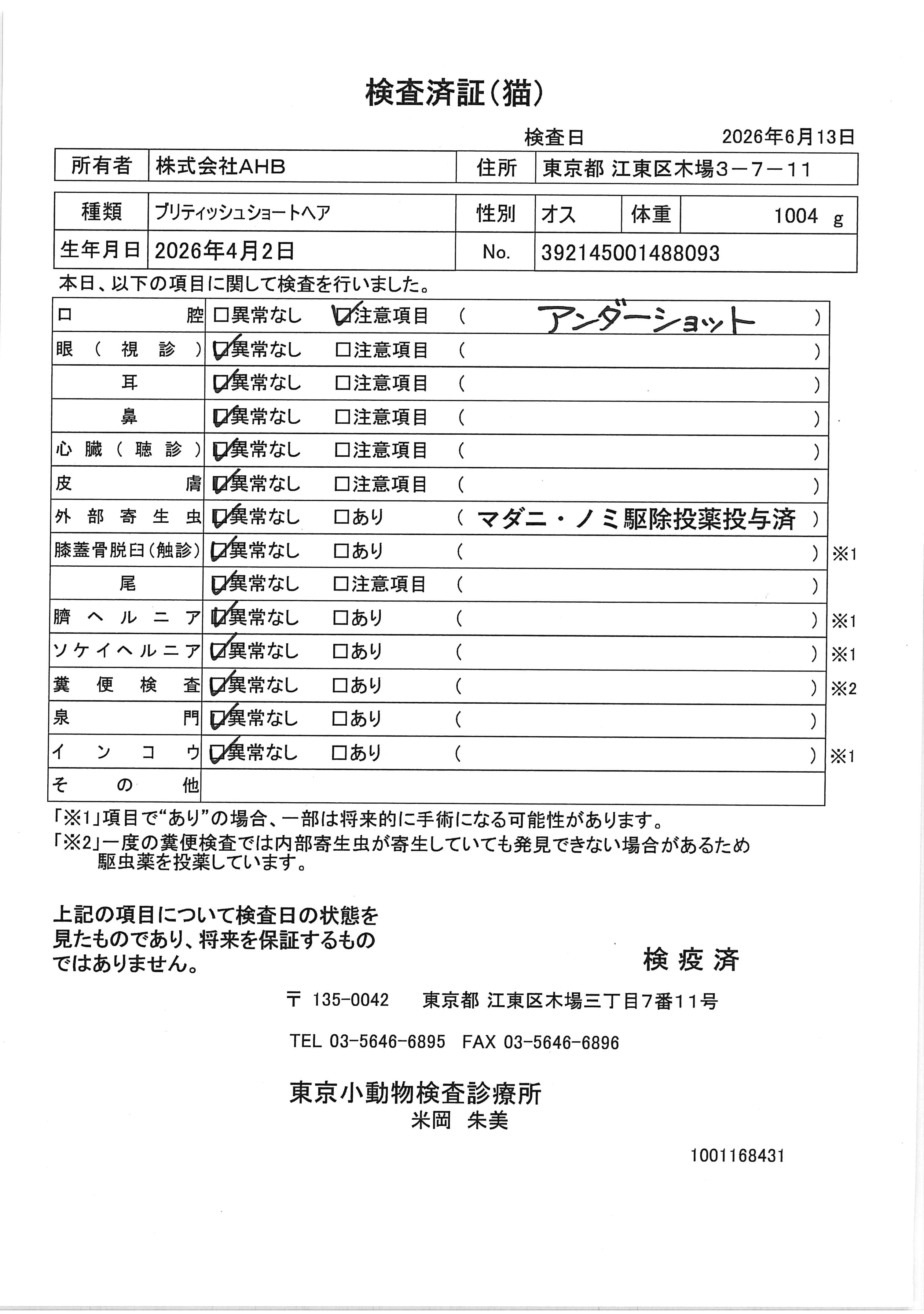 ブリティッシュショートヘア