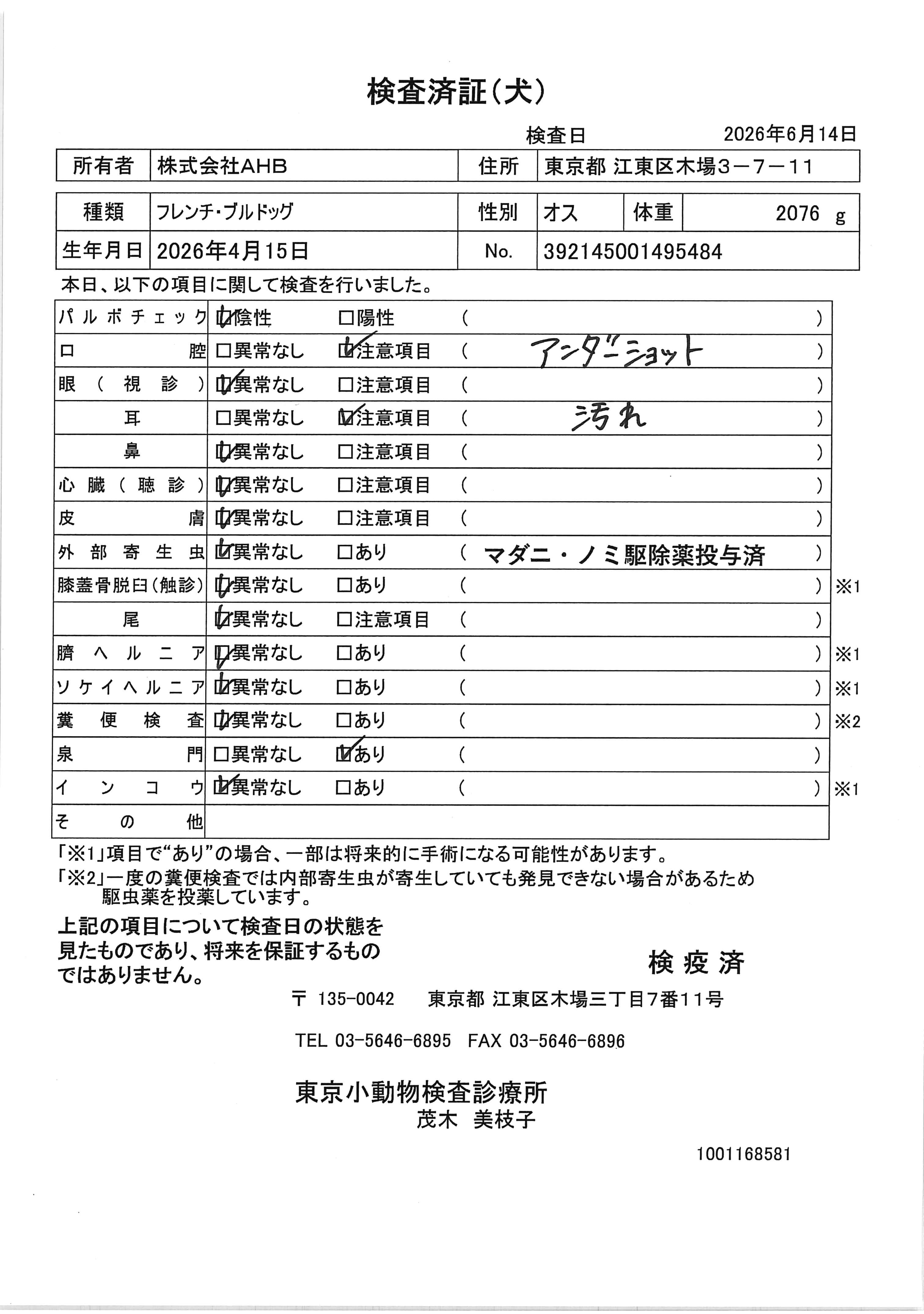 フレンチ・ブルドッグ