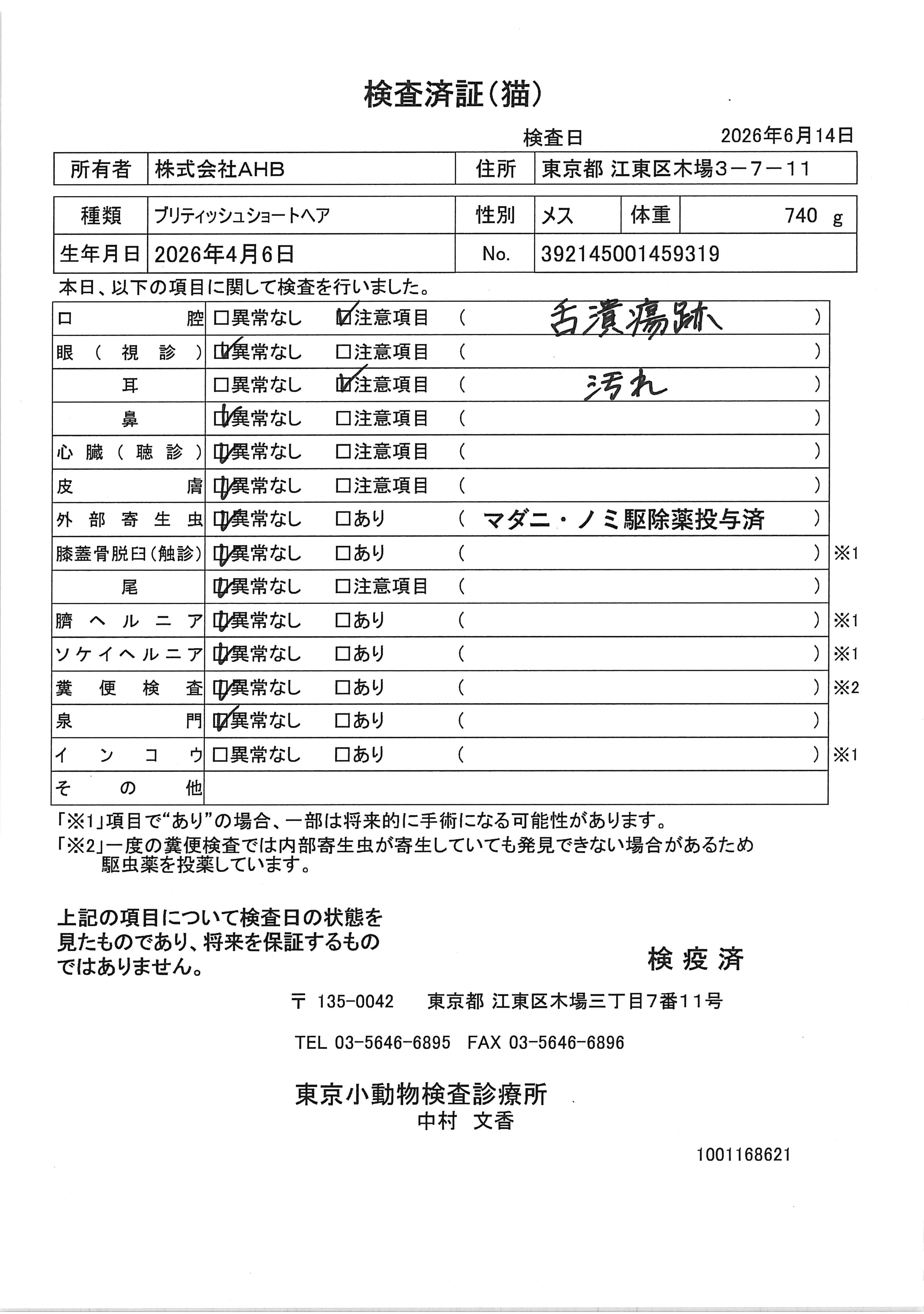 ブリティッシュショートヘア