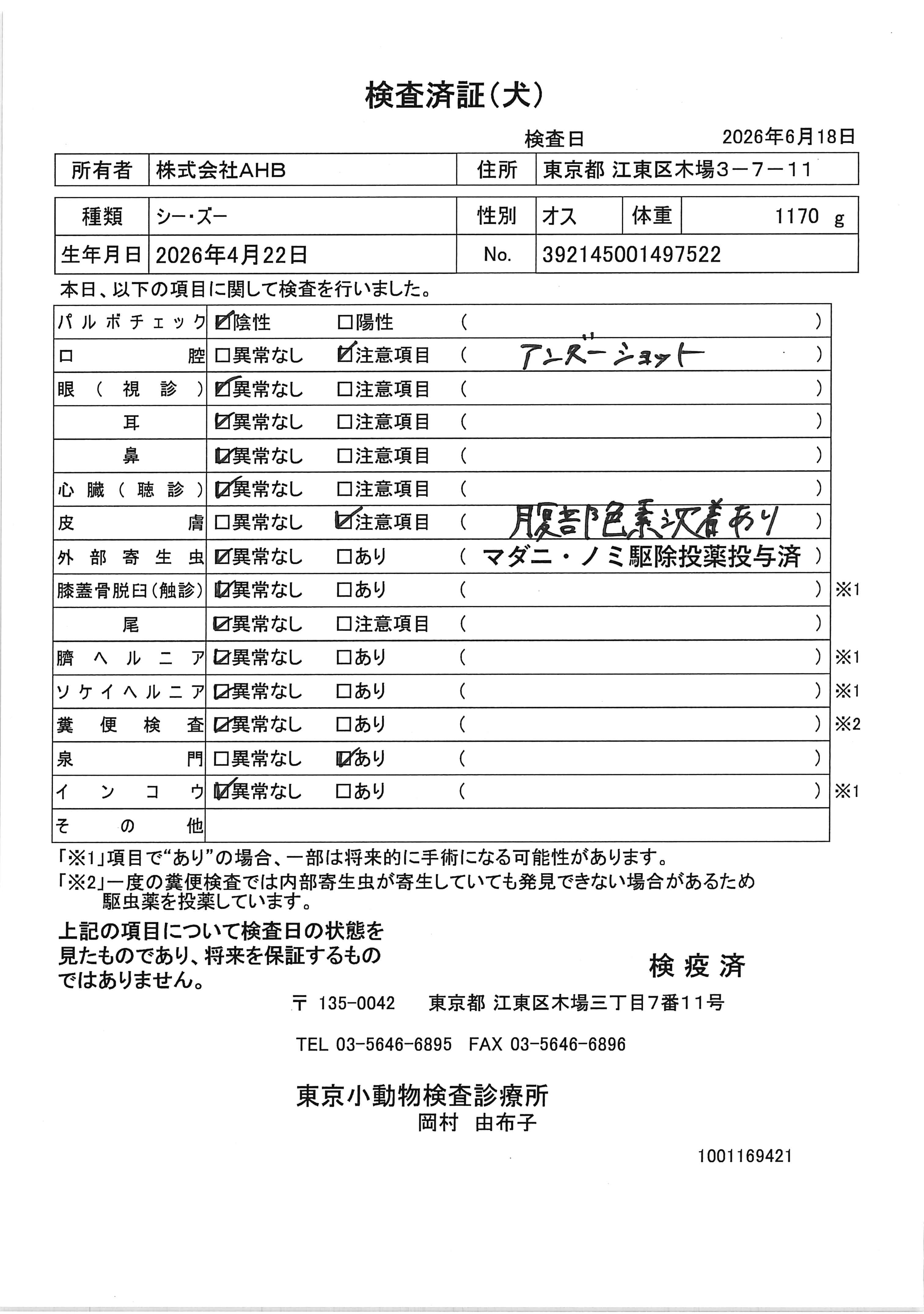 シー・ズー