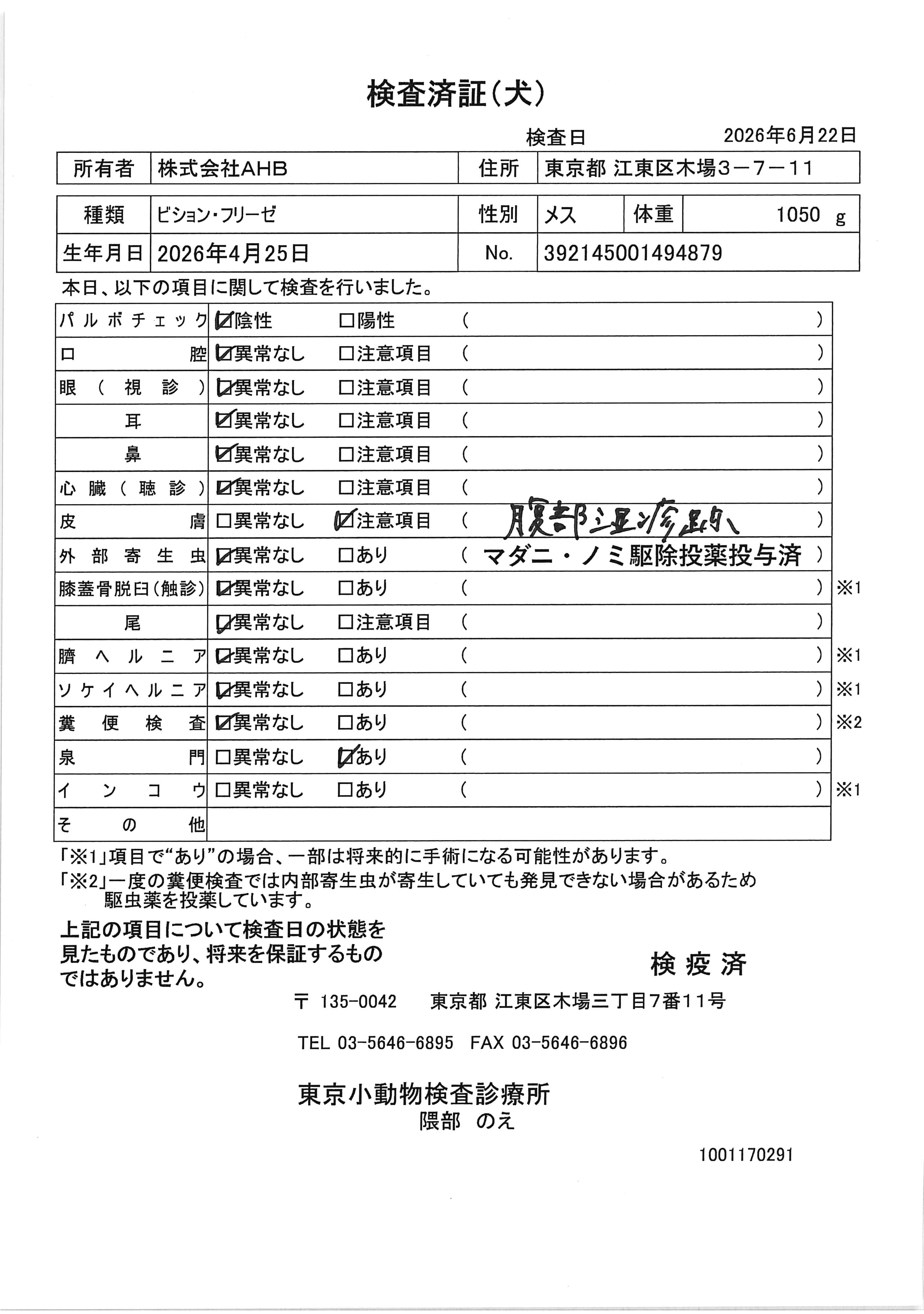 ビション・フリーゼ