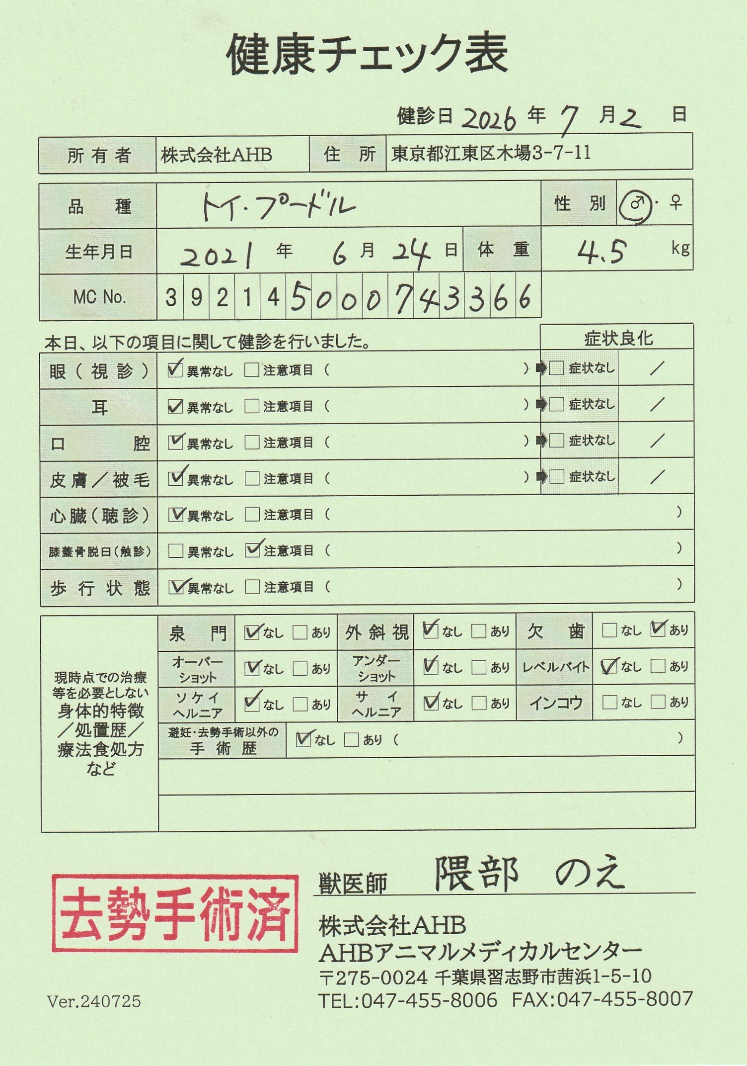 トイ・プードル
