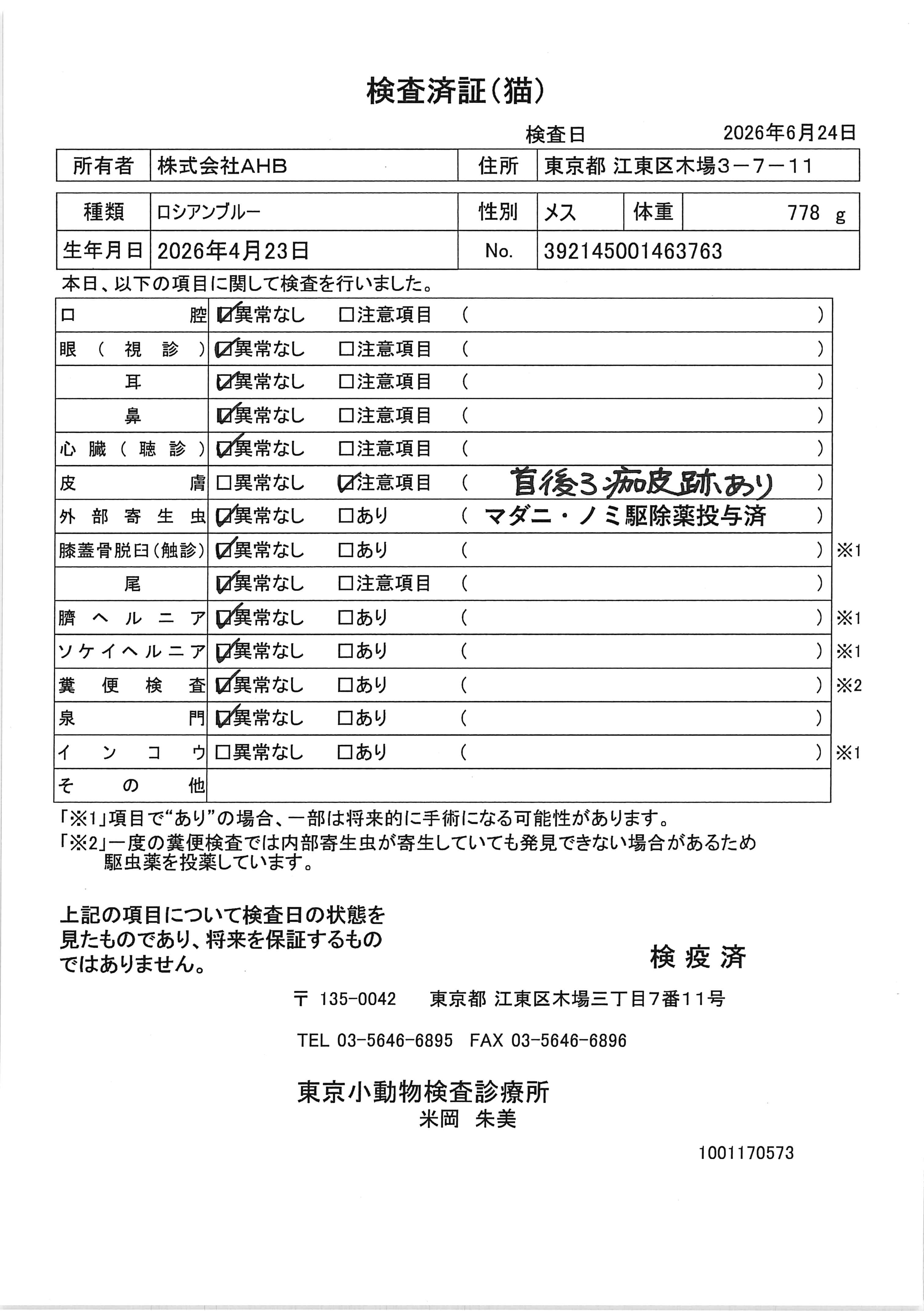 ロシアンブルー