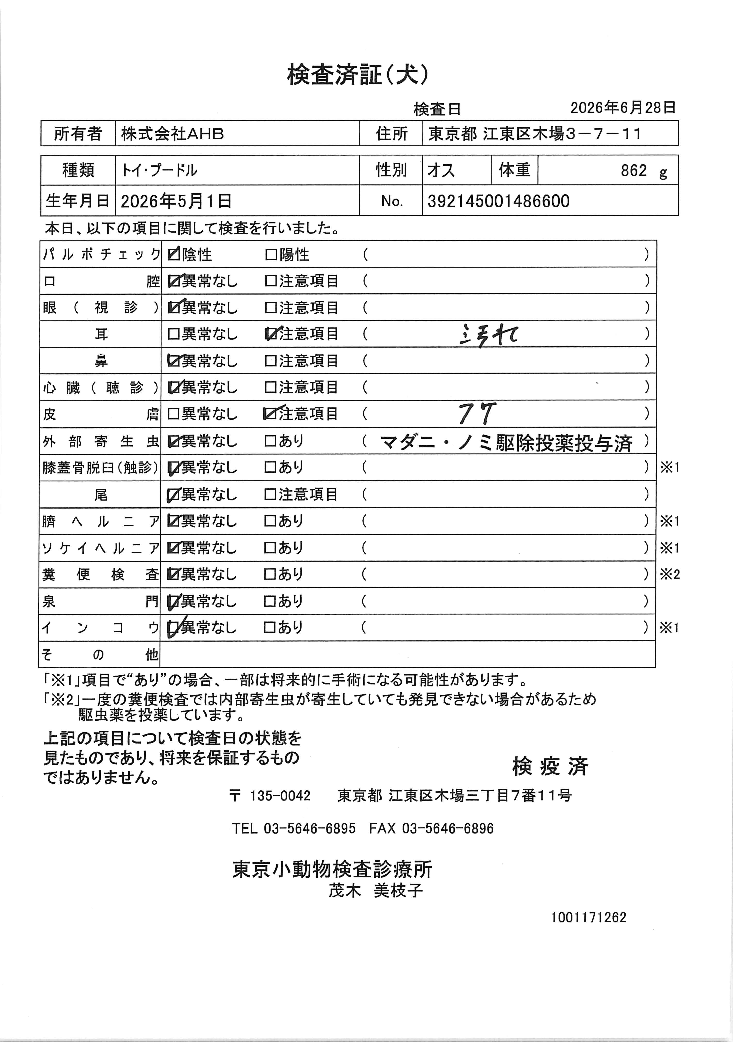 トイ・プードル