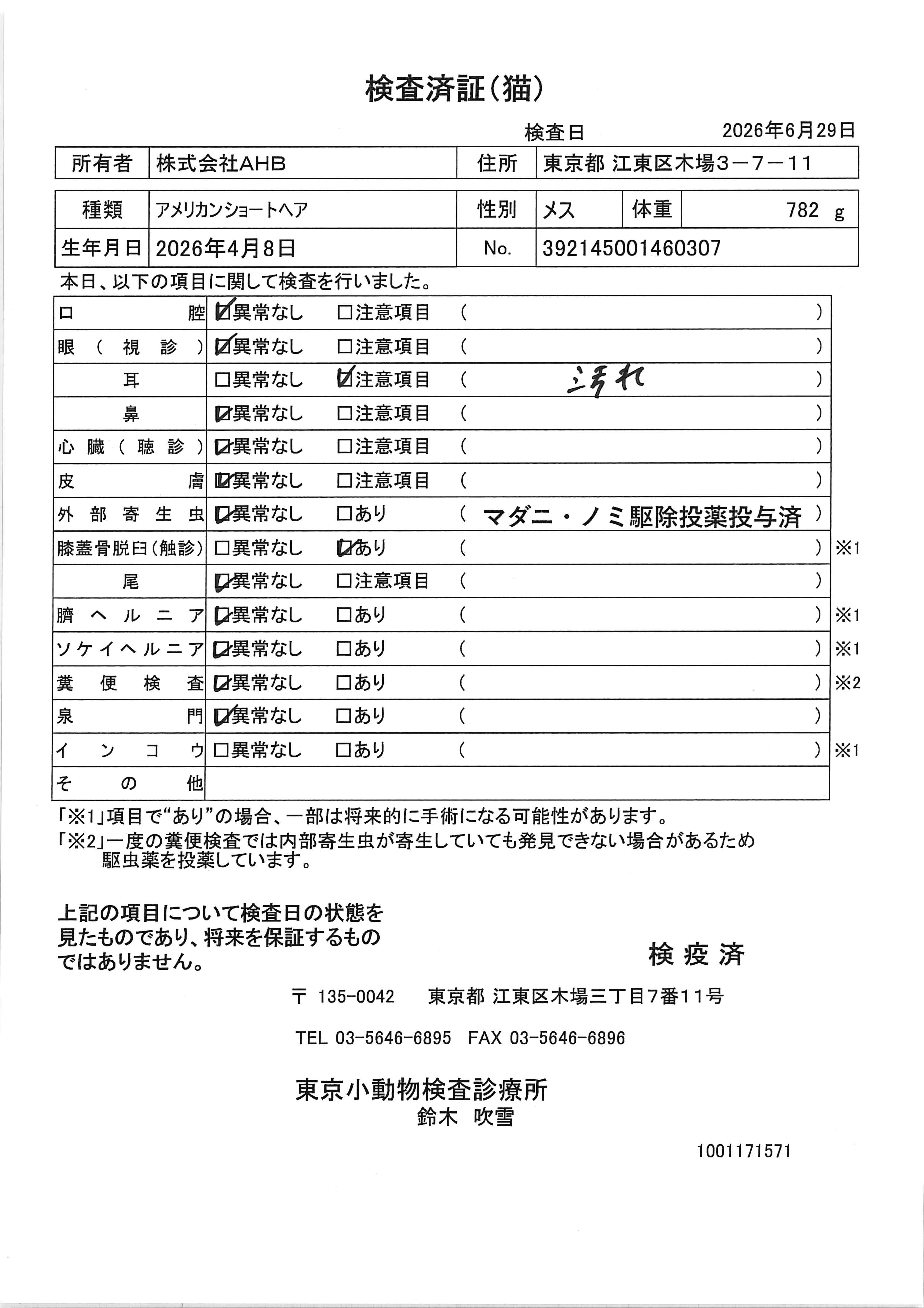 アメリカンショートヘア