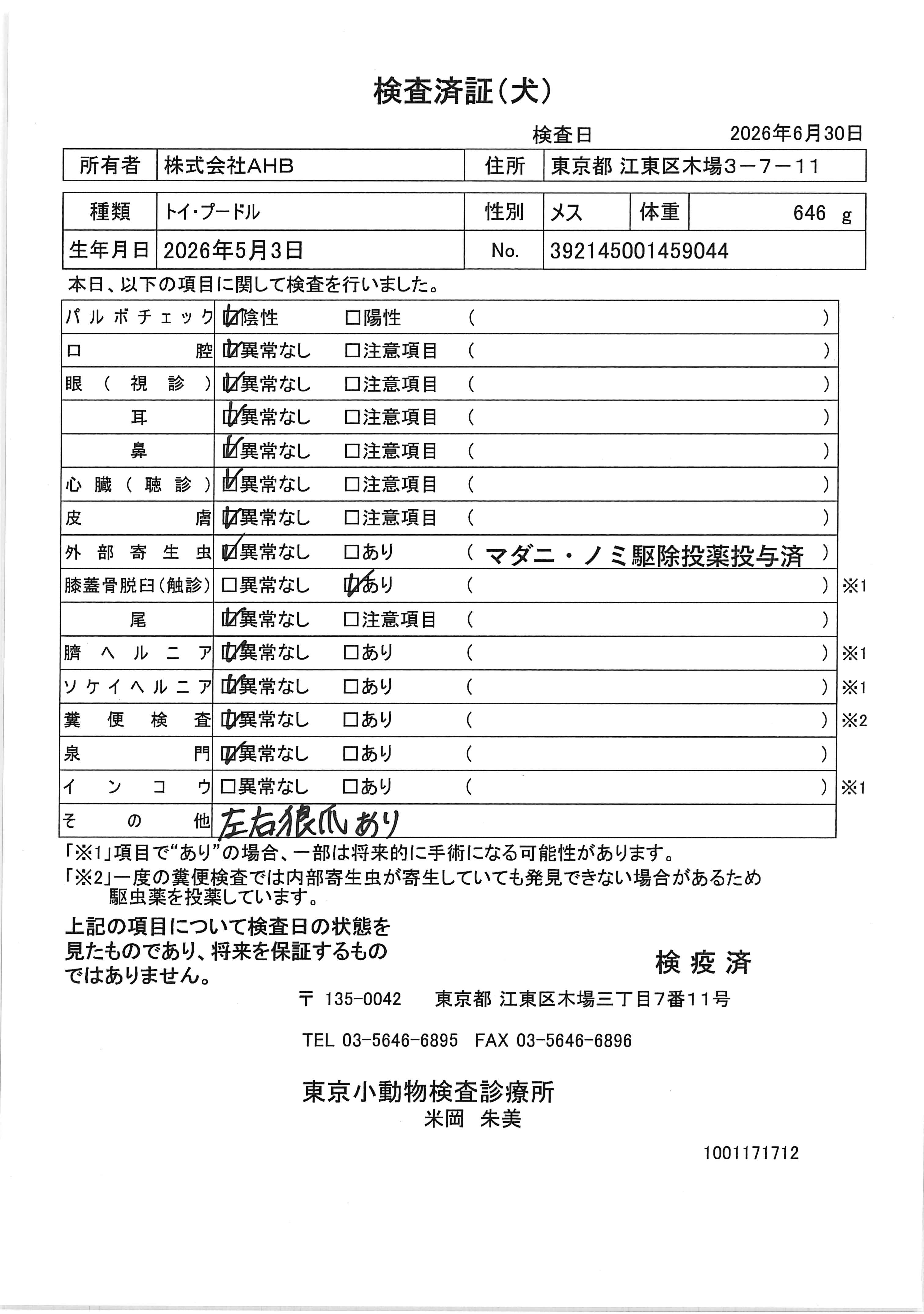 トイ・プードル