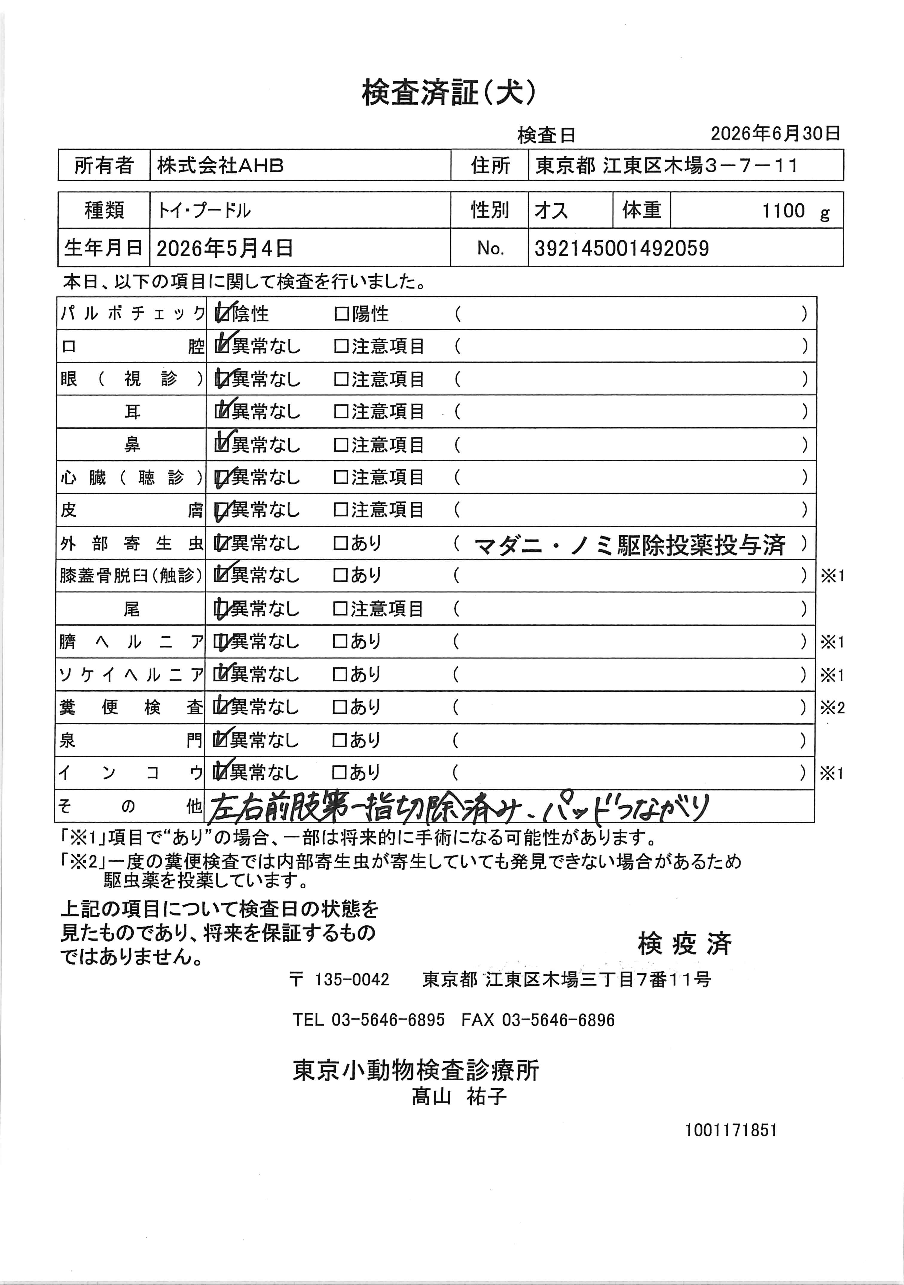 トイ・プードル