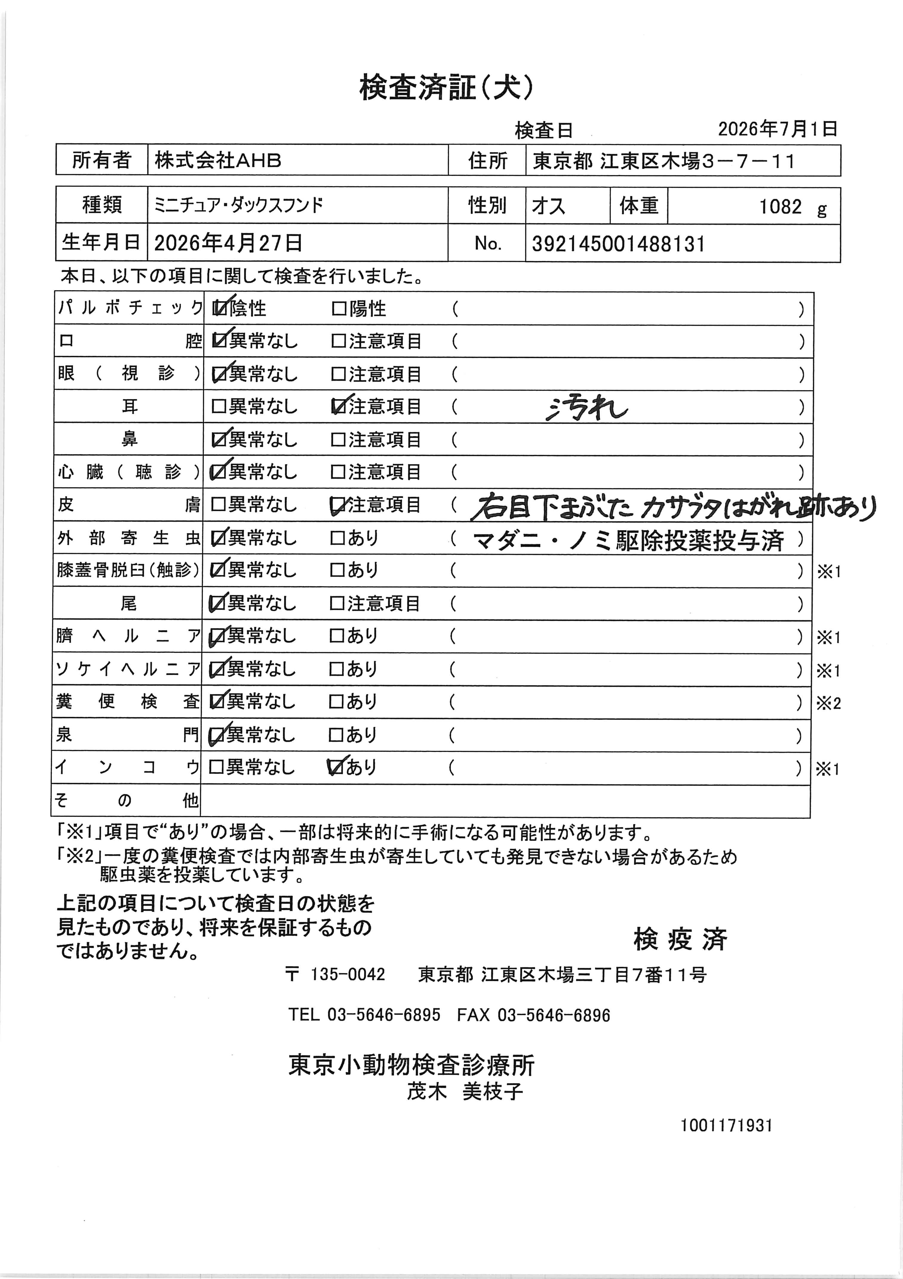 ミニチュア・ダックスフンド