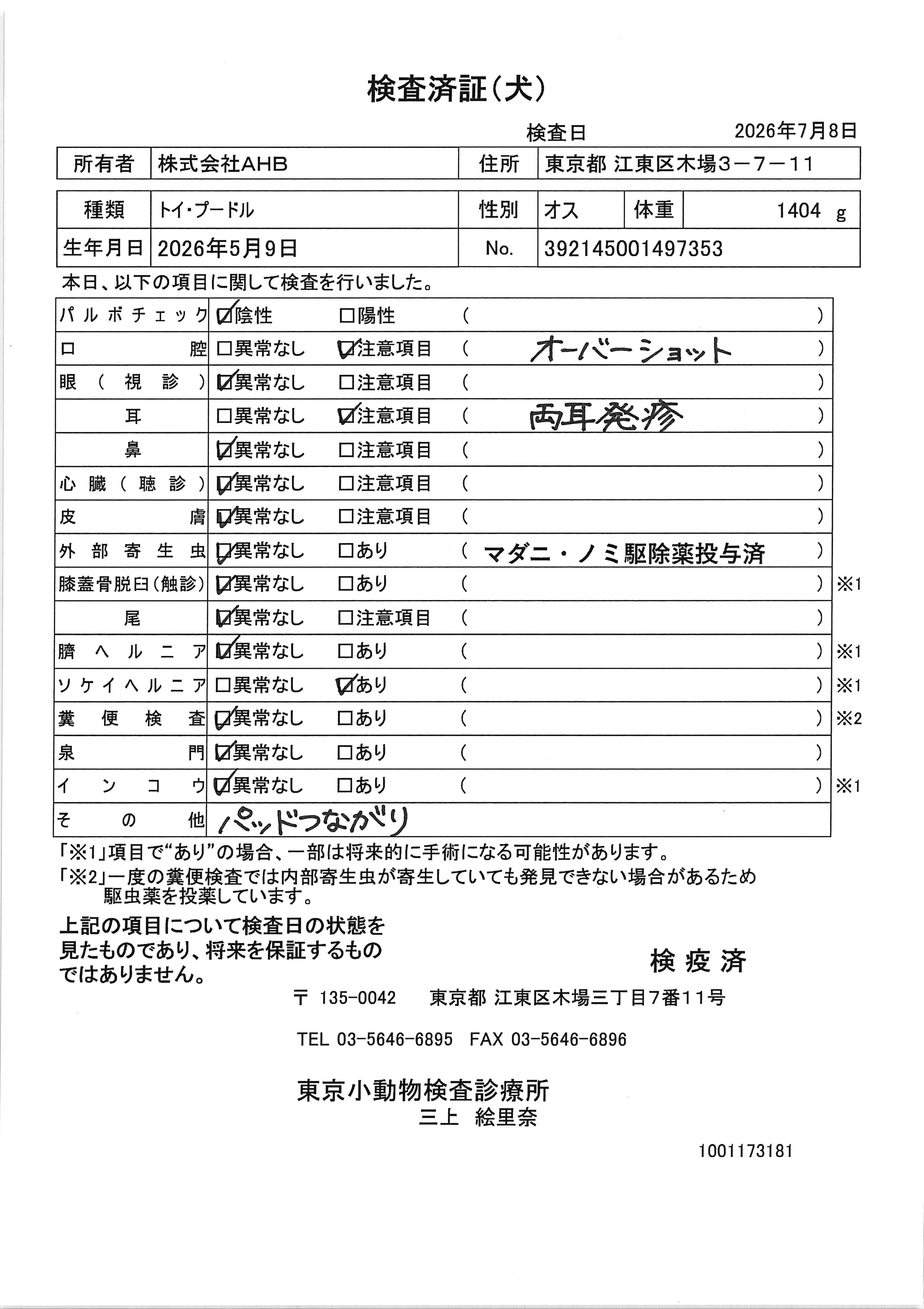 トイ・プードル