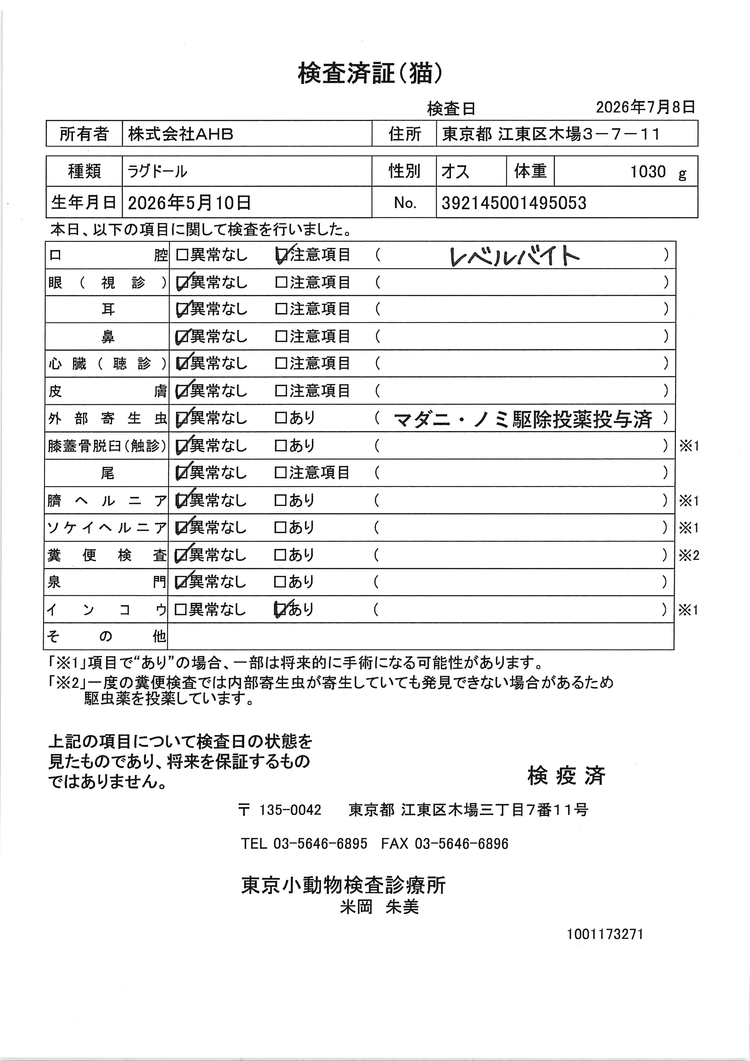 ラグドール