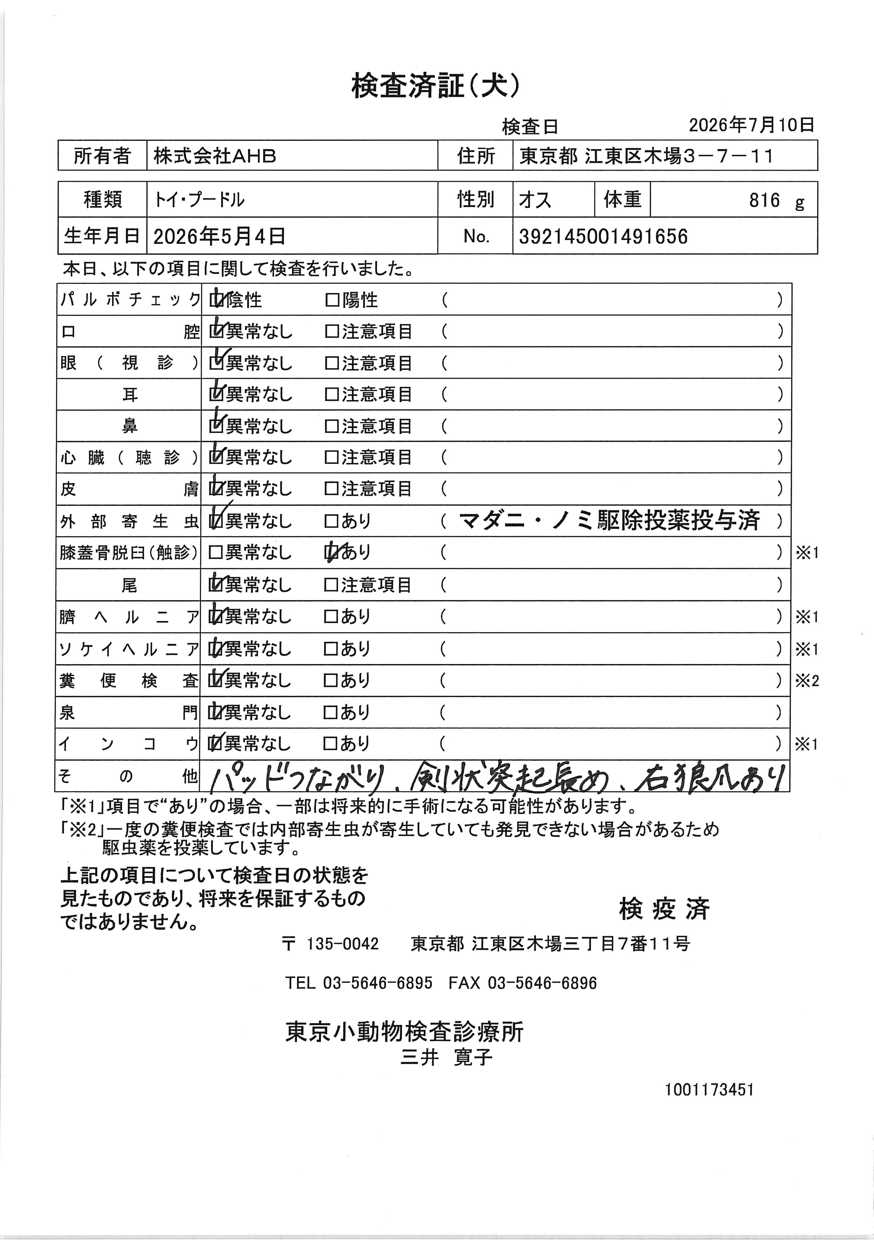 トイ・プードル