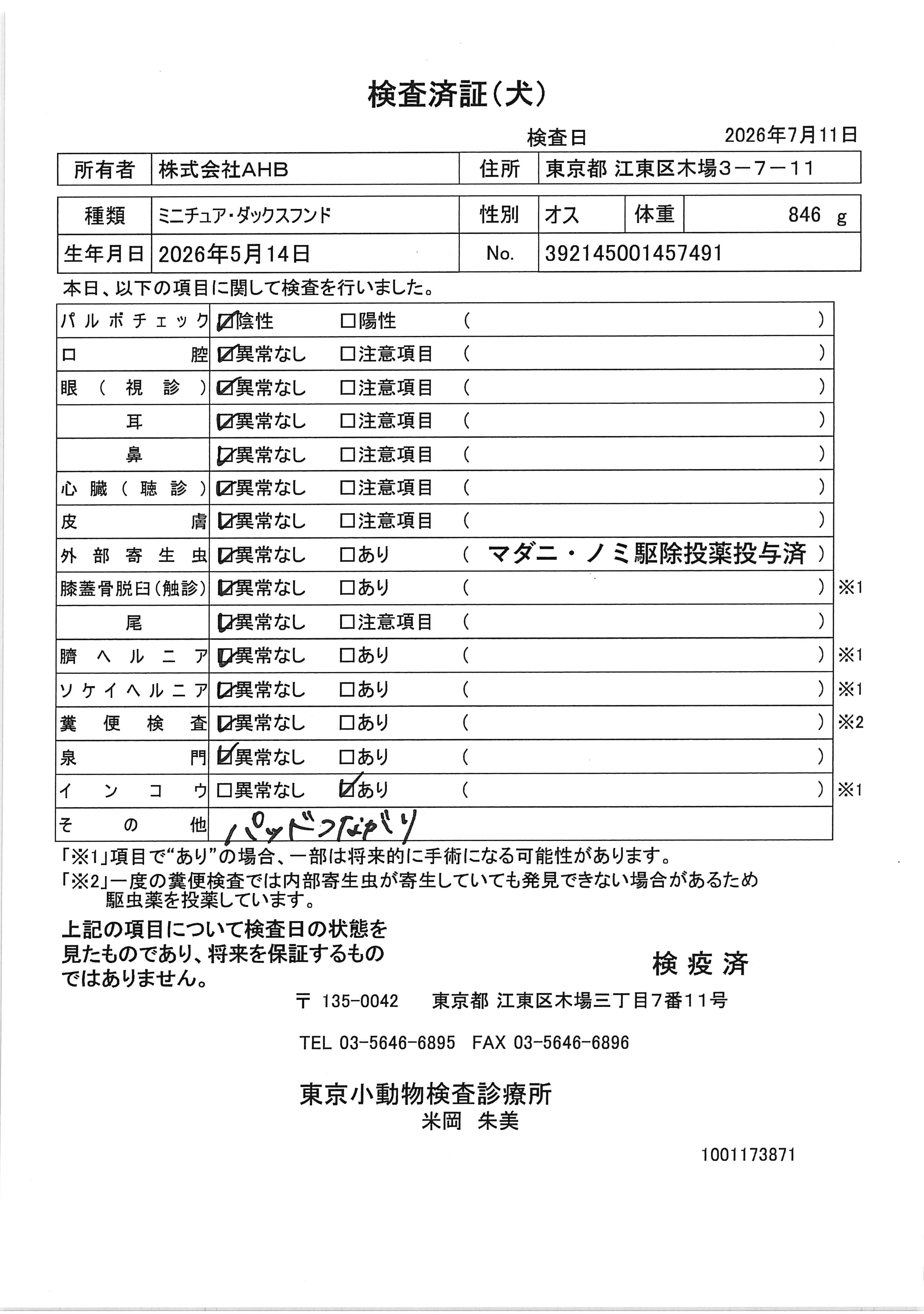 ミニチュア・ダックスフンド