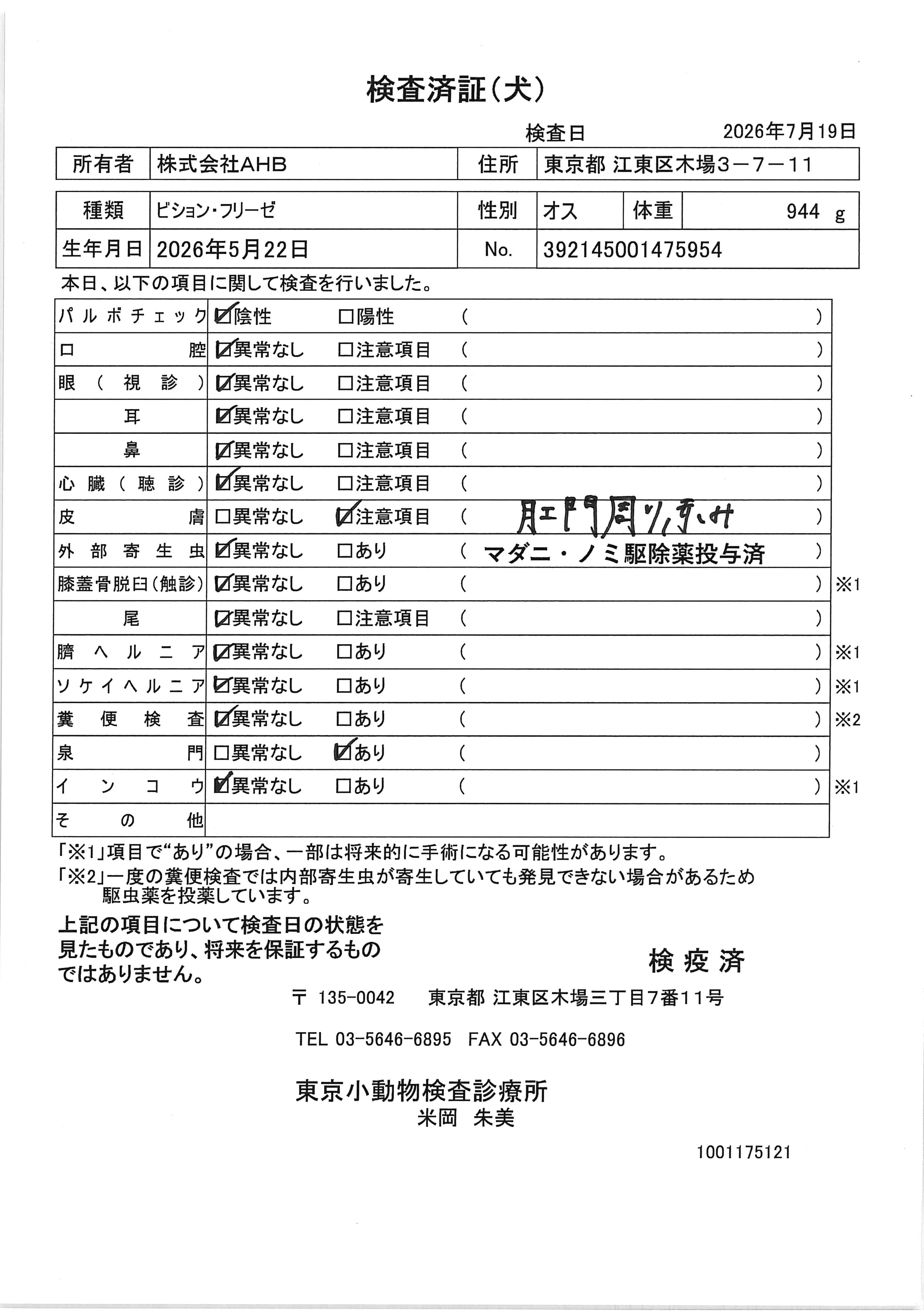 ビション・フリーゼ