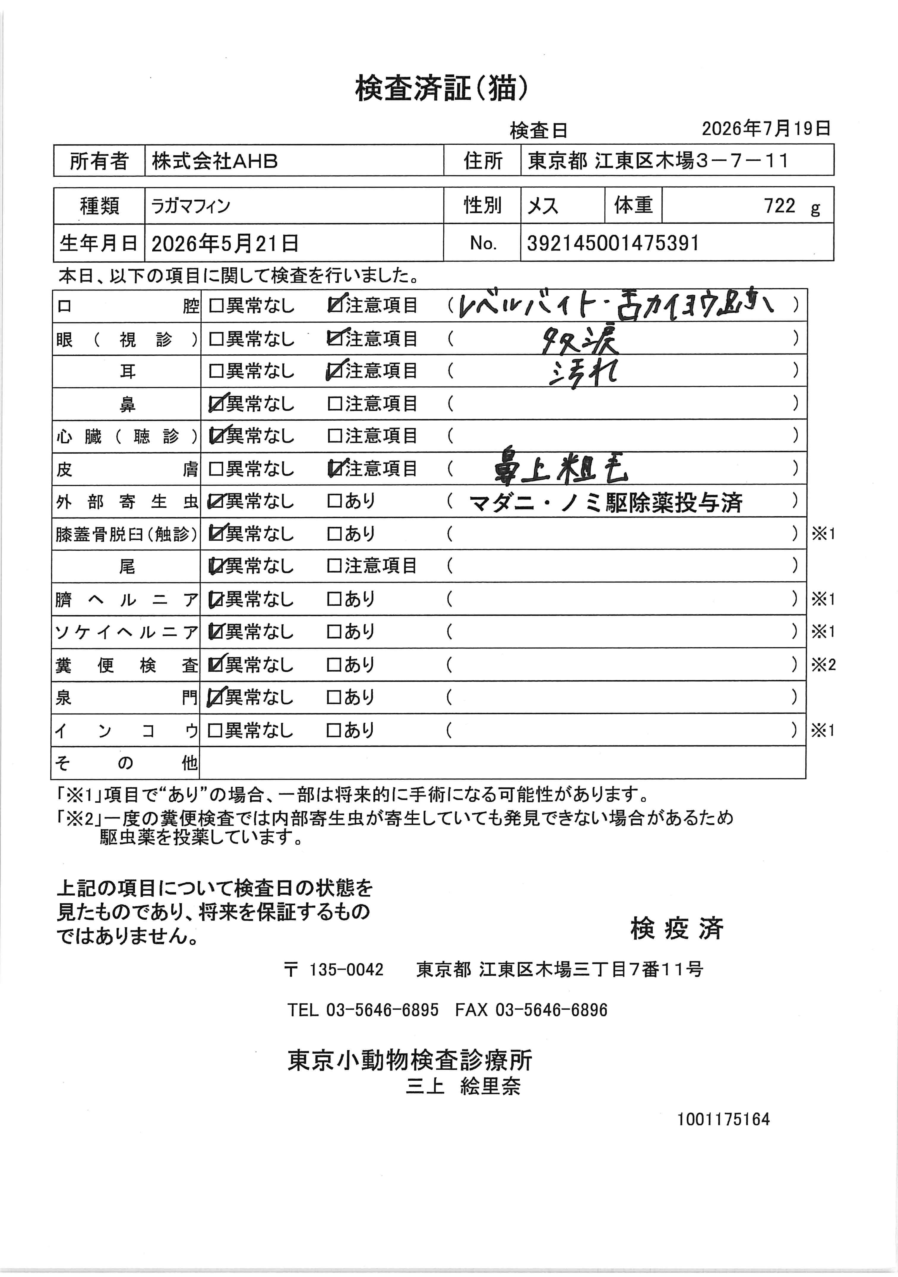 ラガマフィン