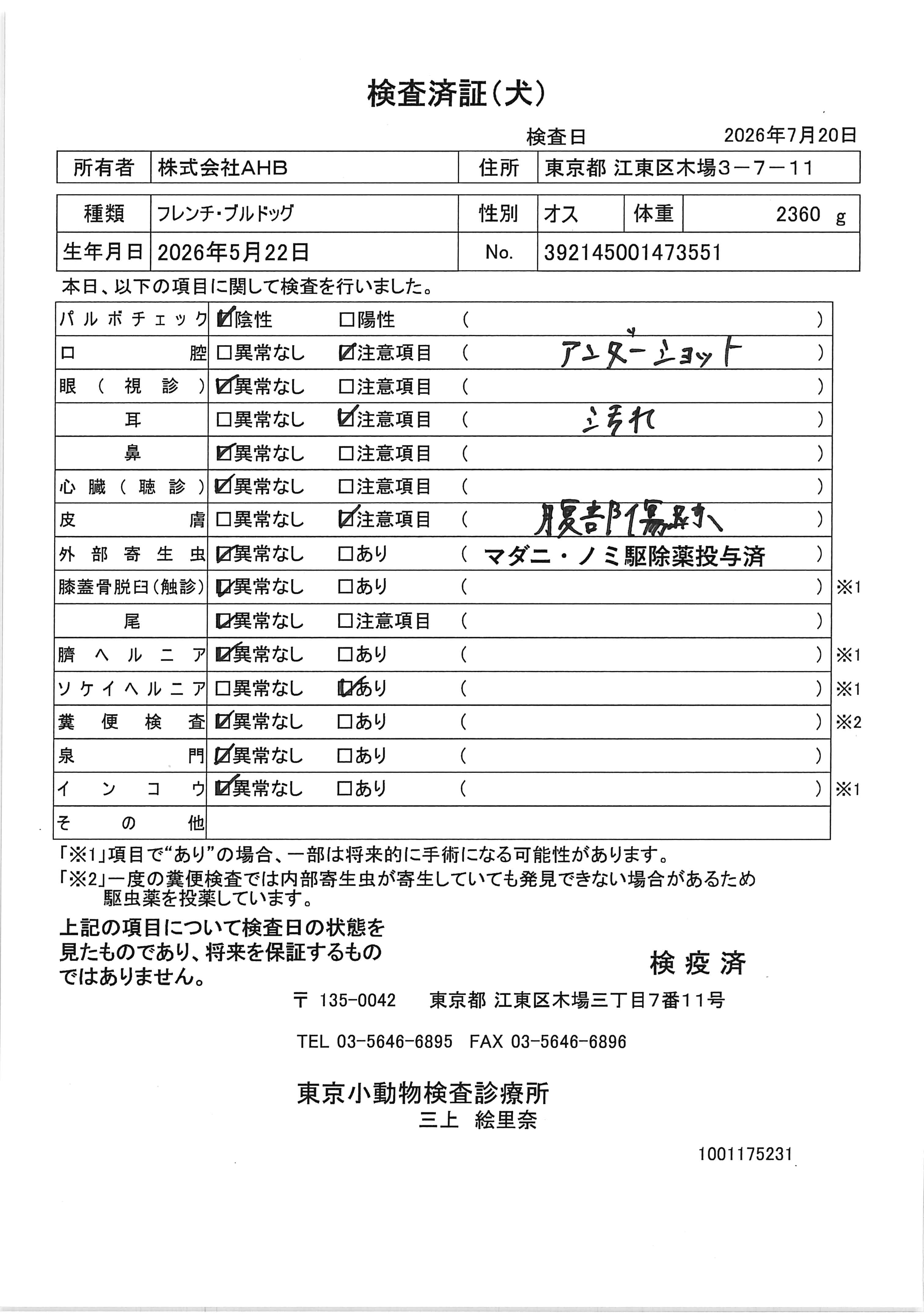 フレンチ・ブルドッグ